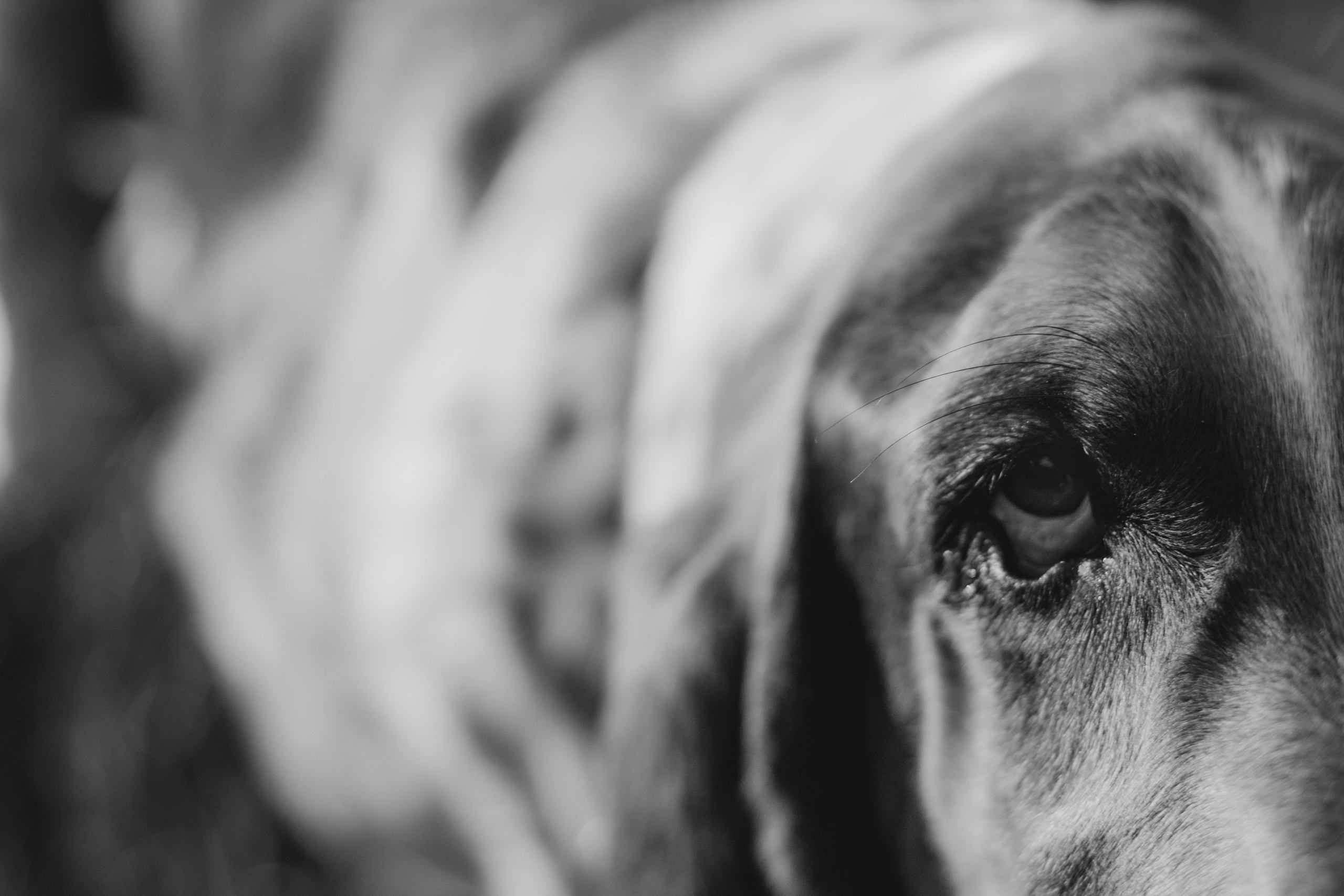 Там, где живет любовь. Семейный фотограф в Брянске Зурилина Екатерина