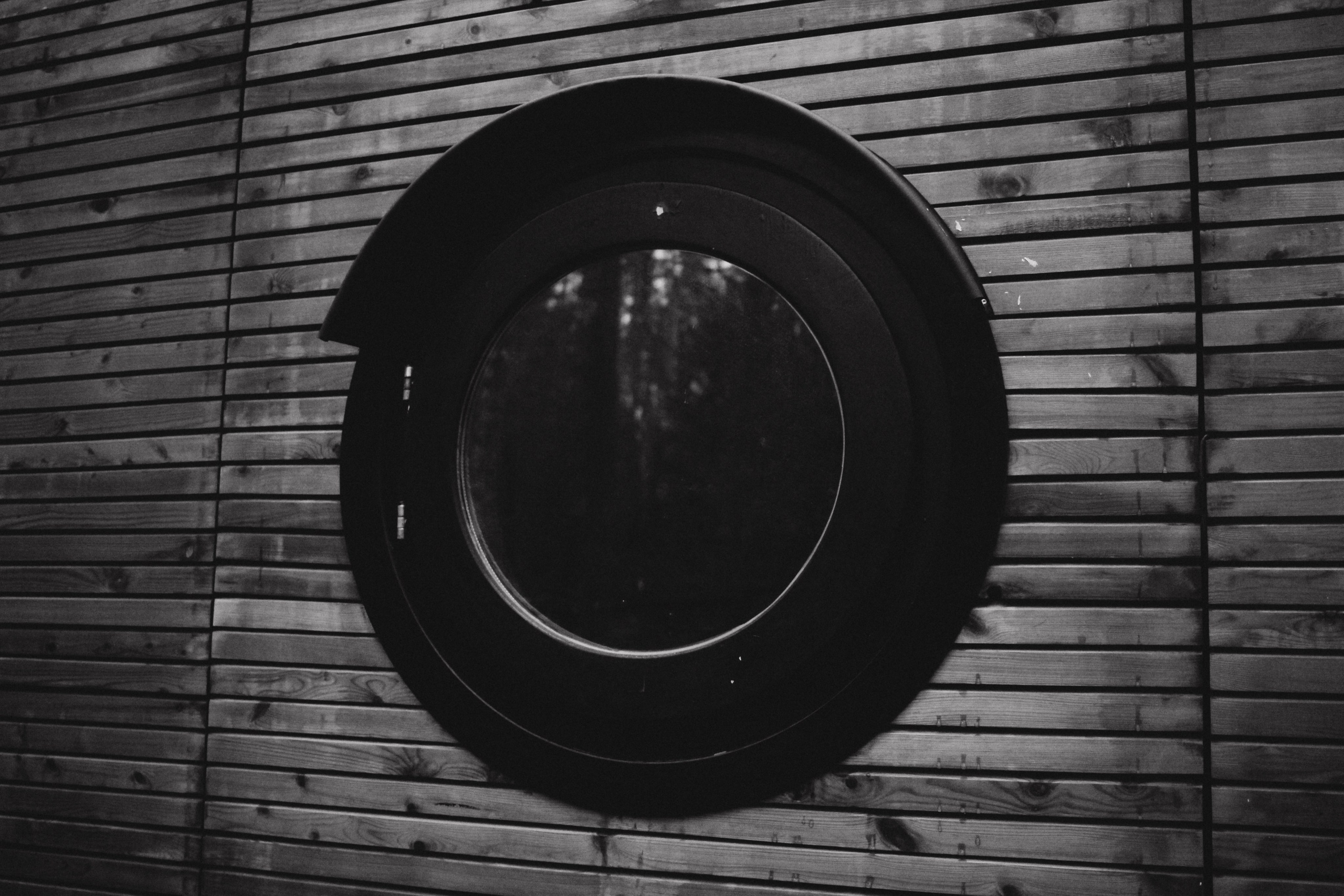 Лес и абстрактность. Портретный фотограф DanilNabody