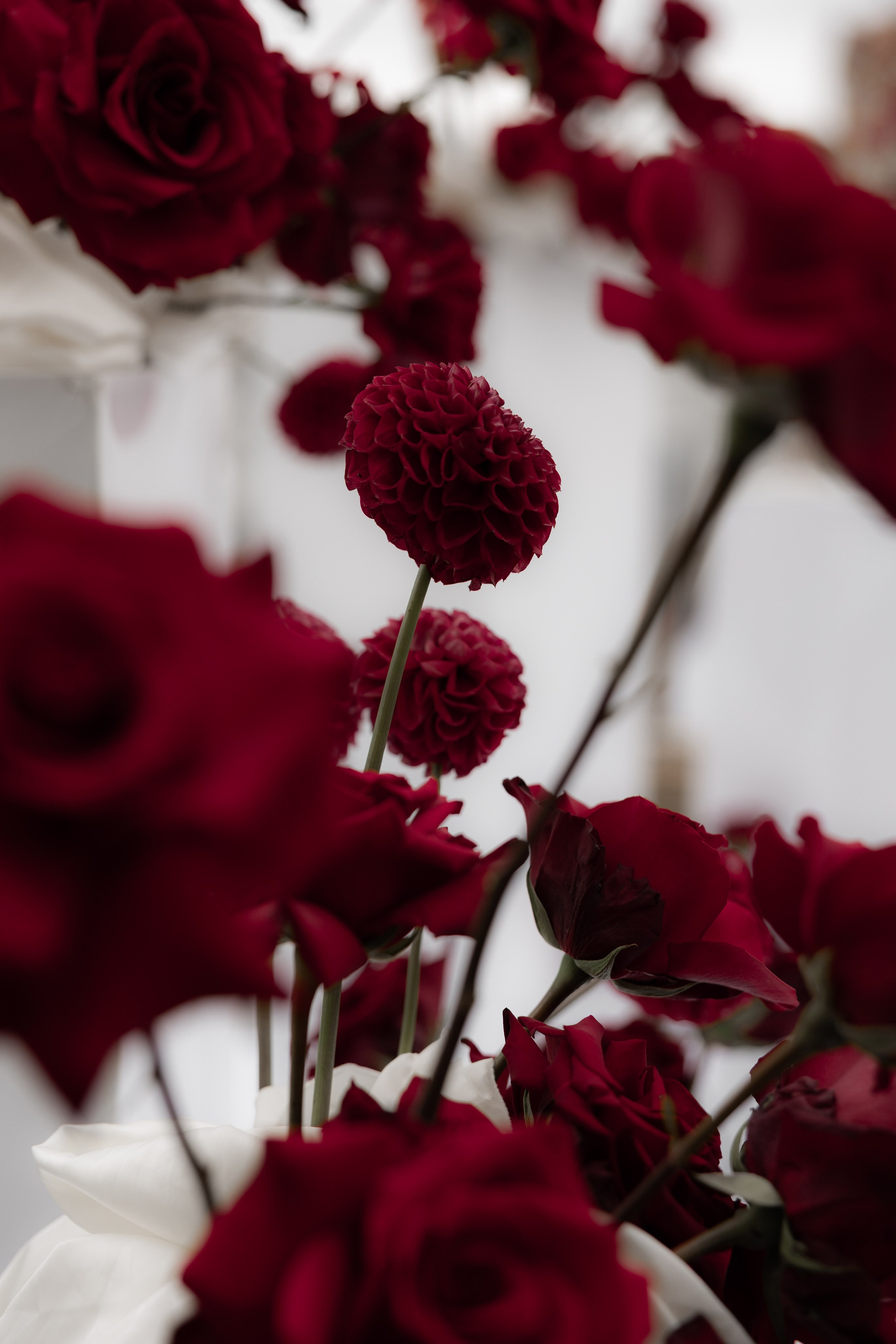 Константин и Инна. Свадебный фотограф Тула Москва СПБ / Сёмина Дарья