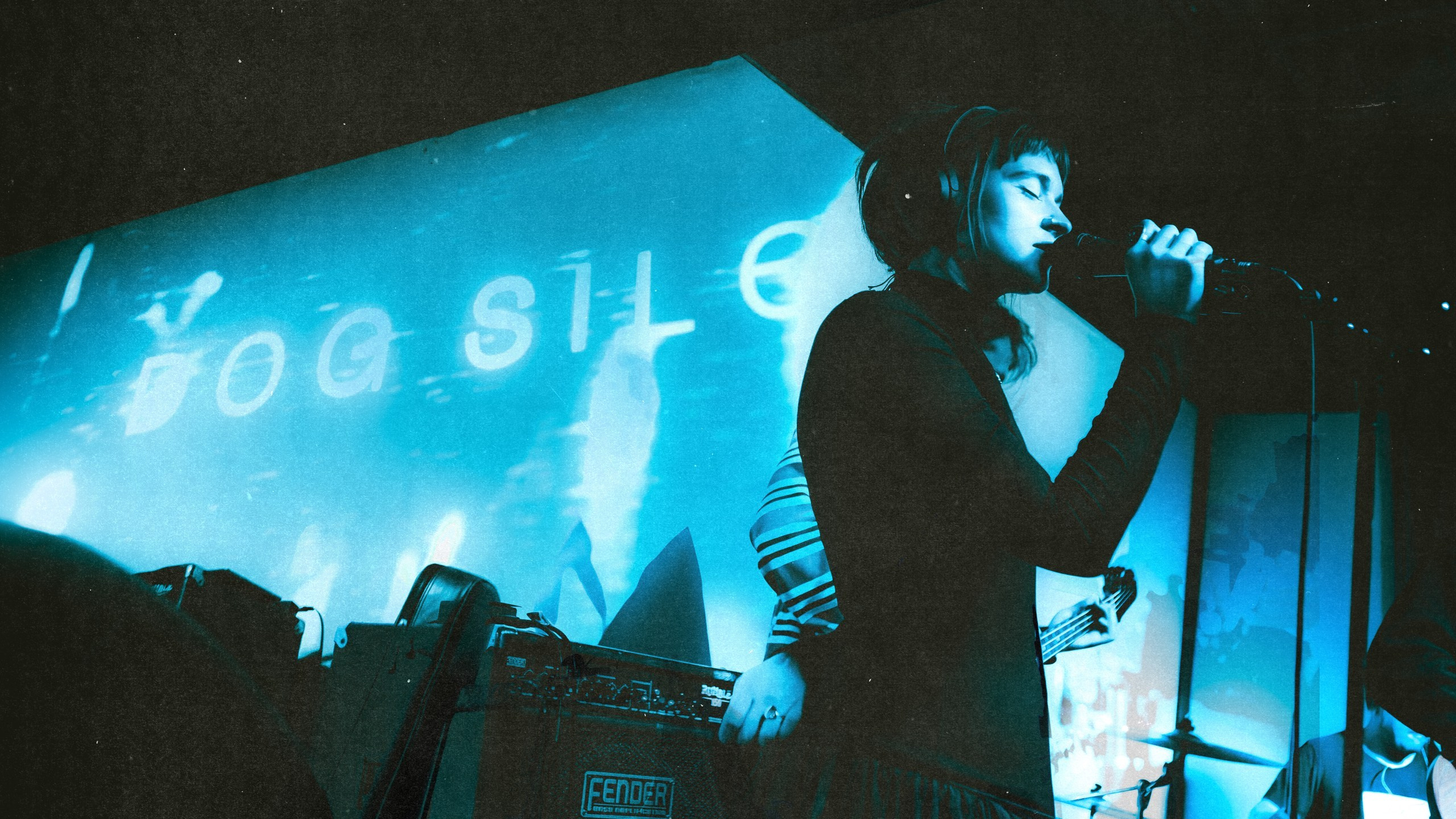 Dog Silent [pwrhs]. Фотограф Москва