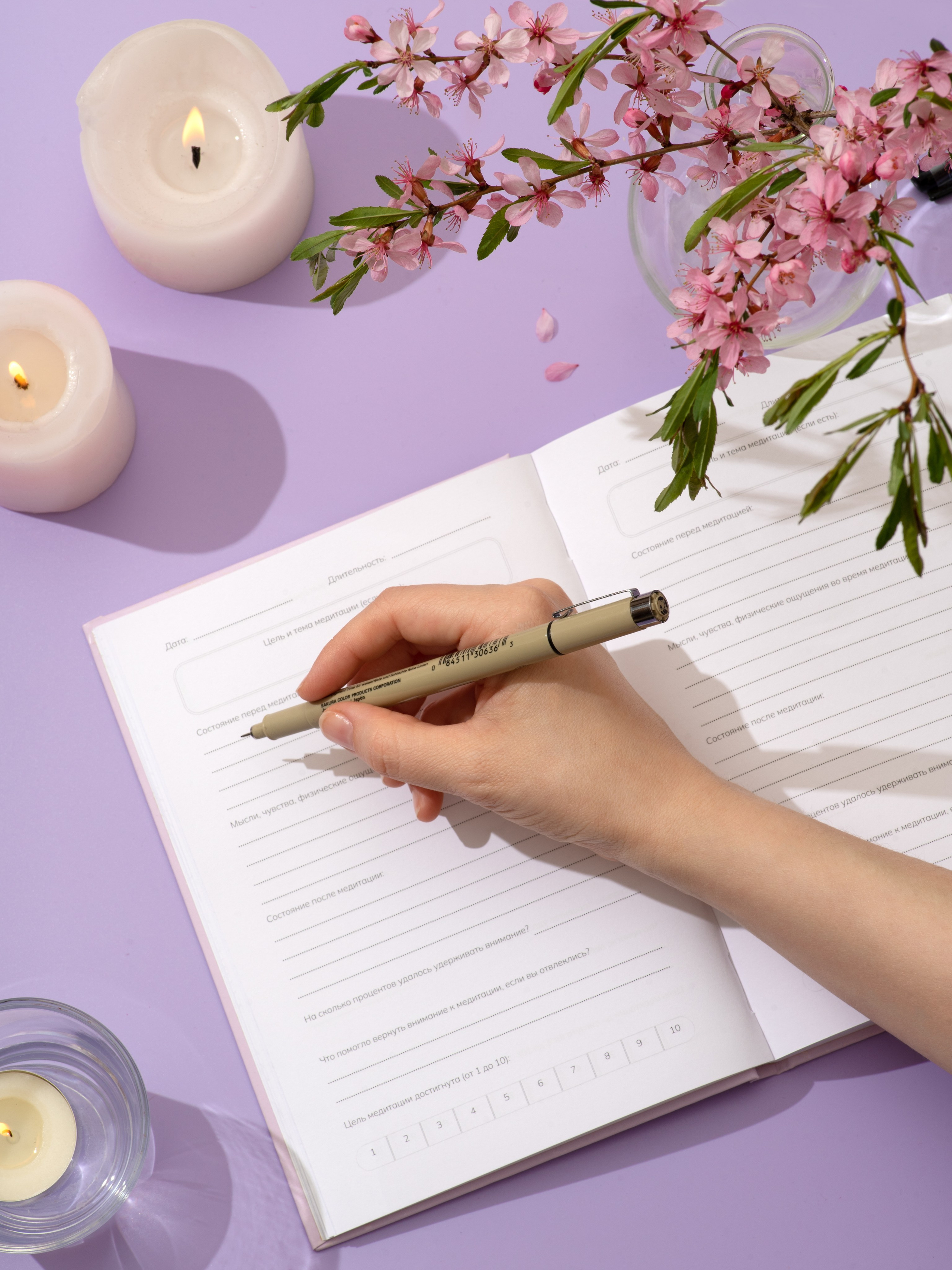 Съемка канцелярии. Александра Чекалина Предметный фотограф Барнаул