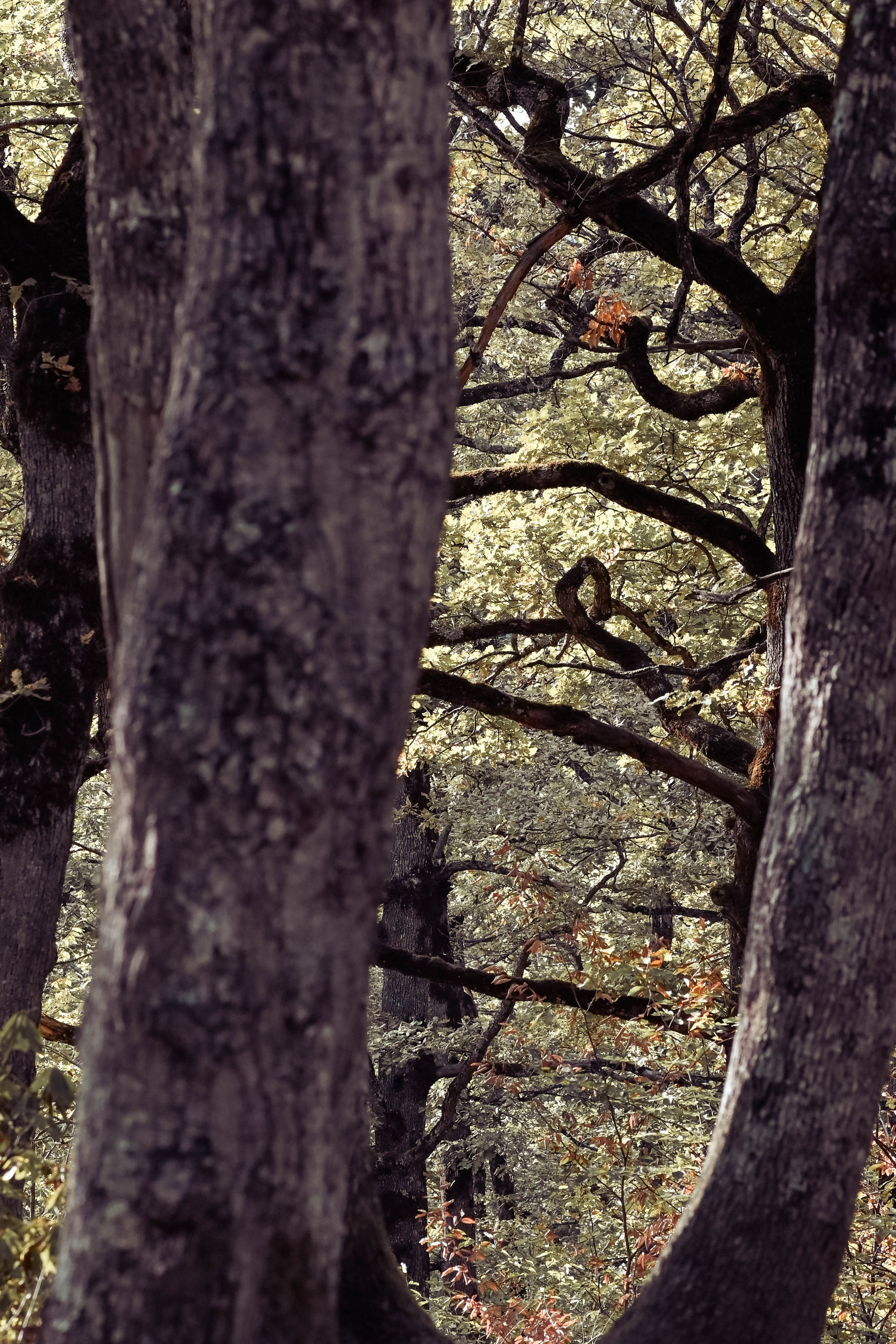 Веселые девчата. Предметный фотограф в Горячем Ключе Вера Швец