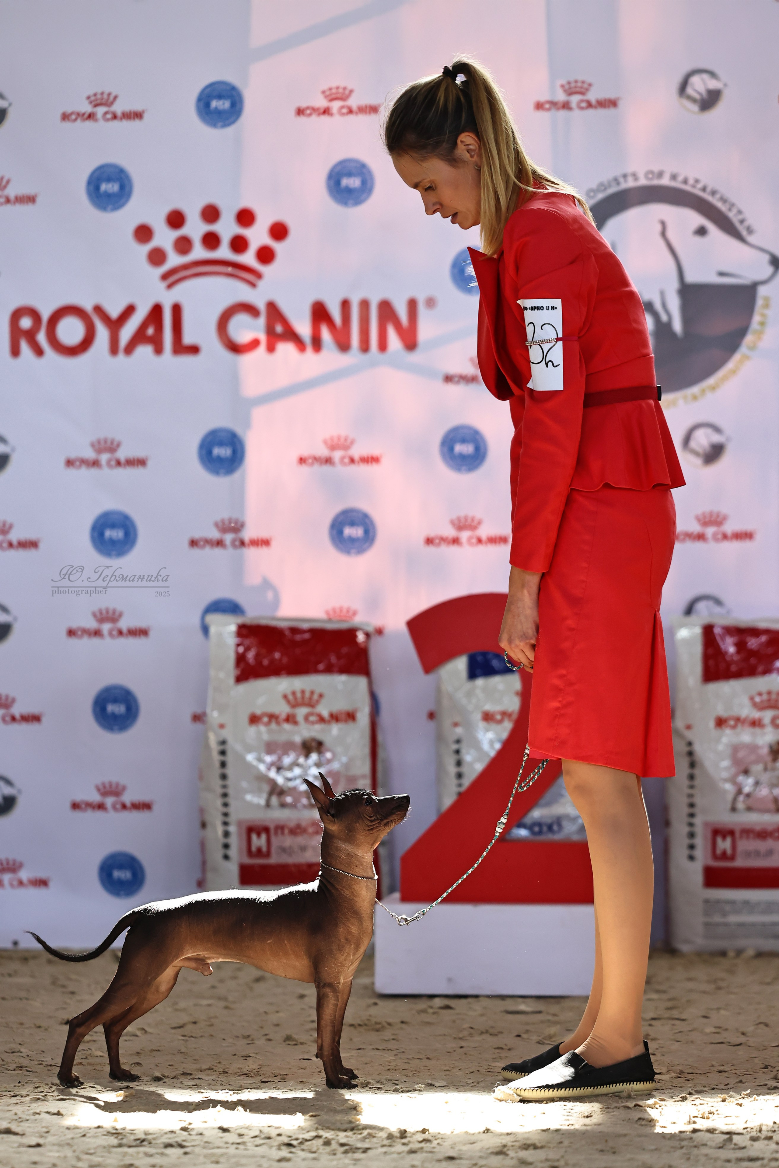 Астана 2хCACIB 26-28.09.2025. Фотограф-анималист Юлия Германика