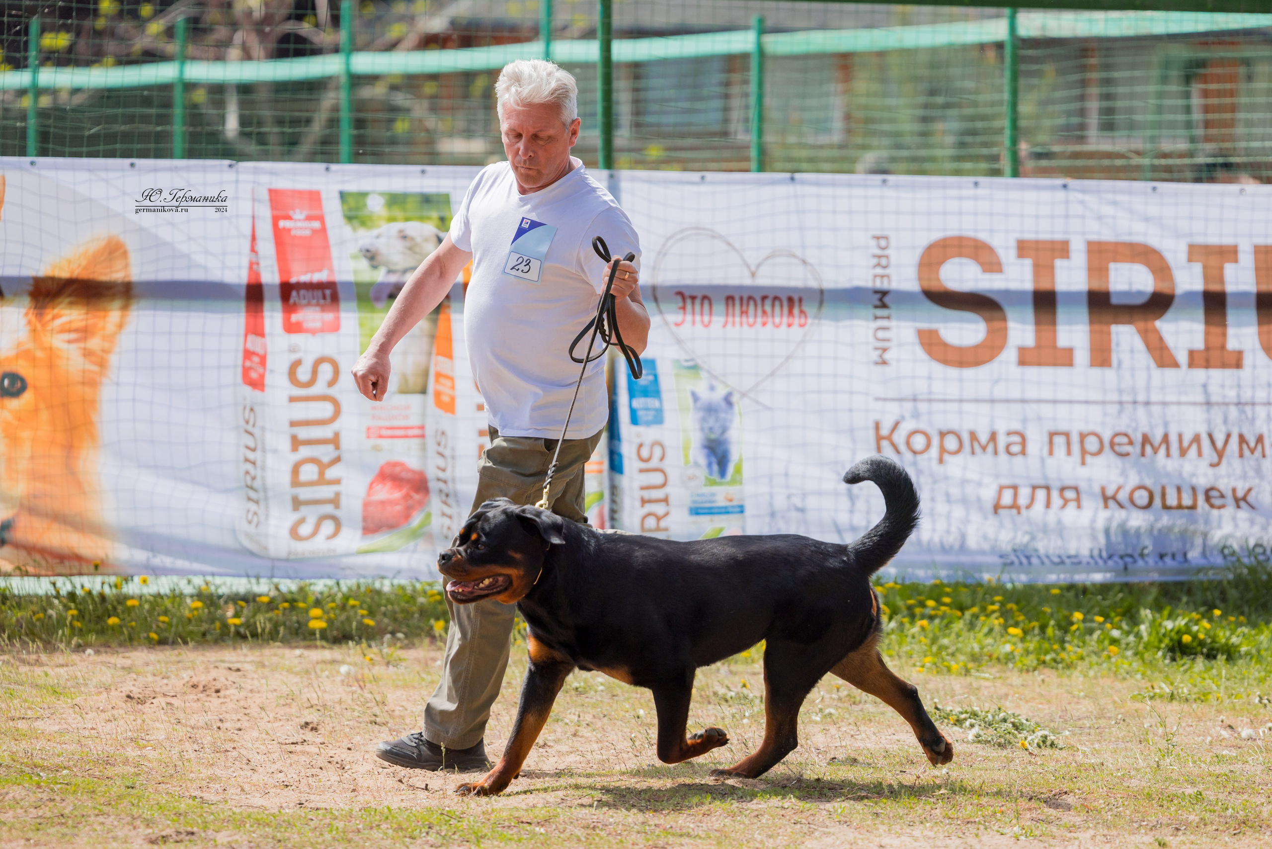 Саратов 2 х моно ротвейлеров 28-29.04.2024. Фотограф-анималист Юлия Германика