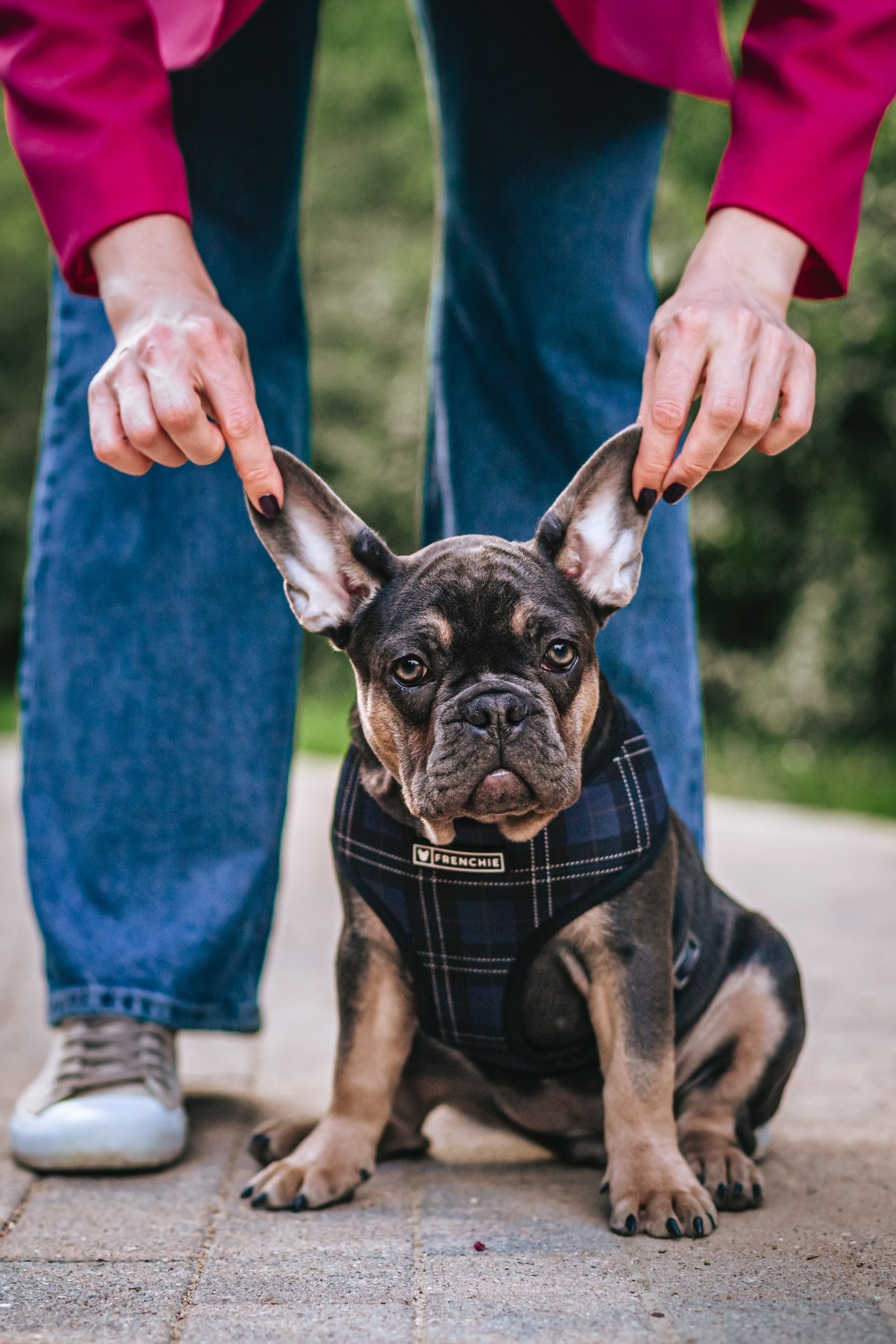 Даша и Мишель. Фотограф-анималист Татьяна Степанова