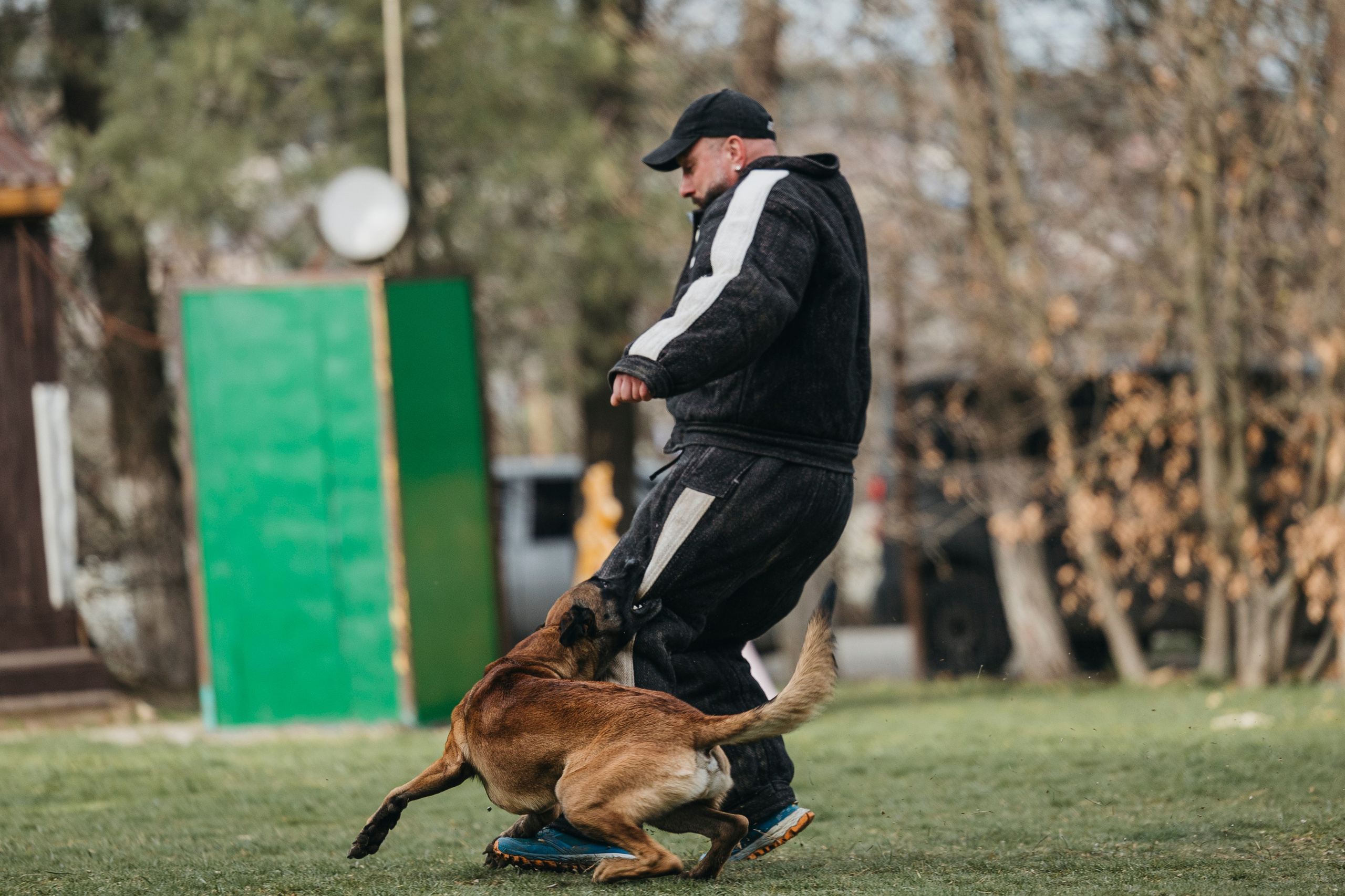 Геленджик Мондьоринг. Фотограф-анималист Анна Маринич