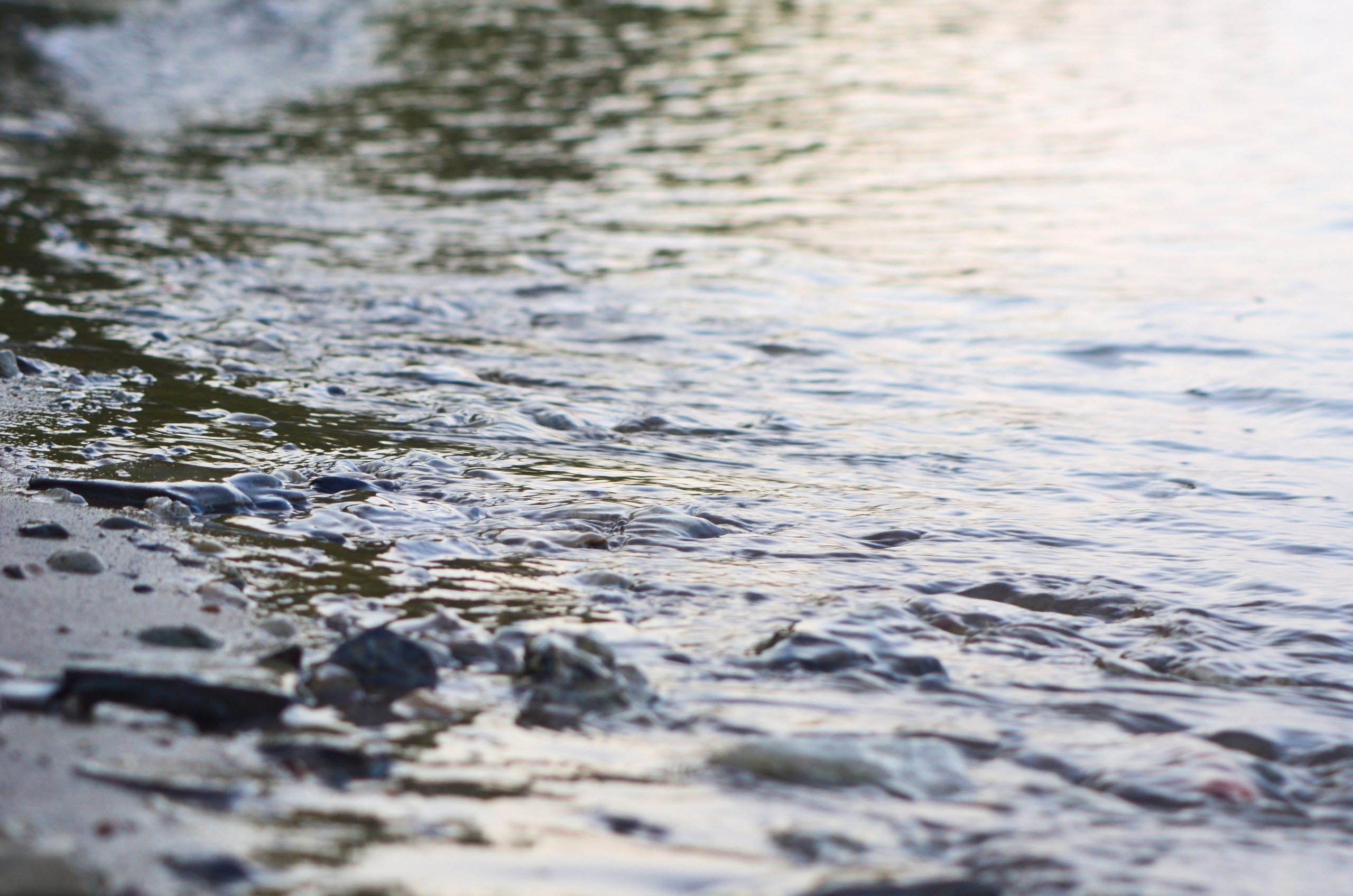 Системы хранения с фасадами из дикого дерева. Авторская фотография. Близнецовые пламёна