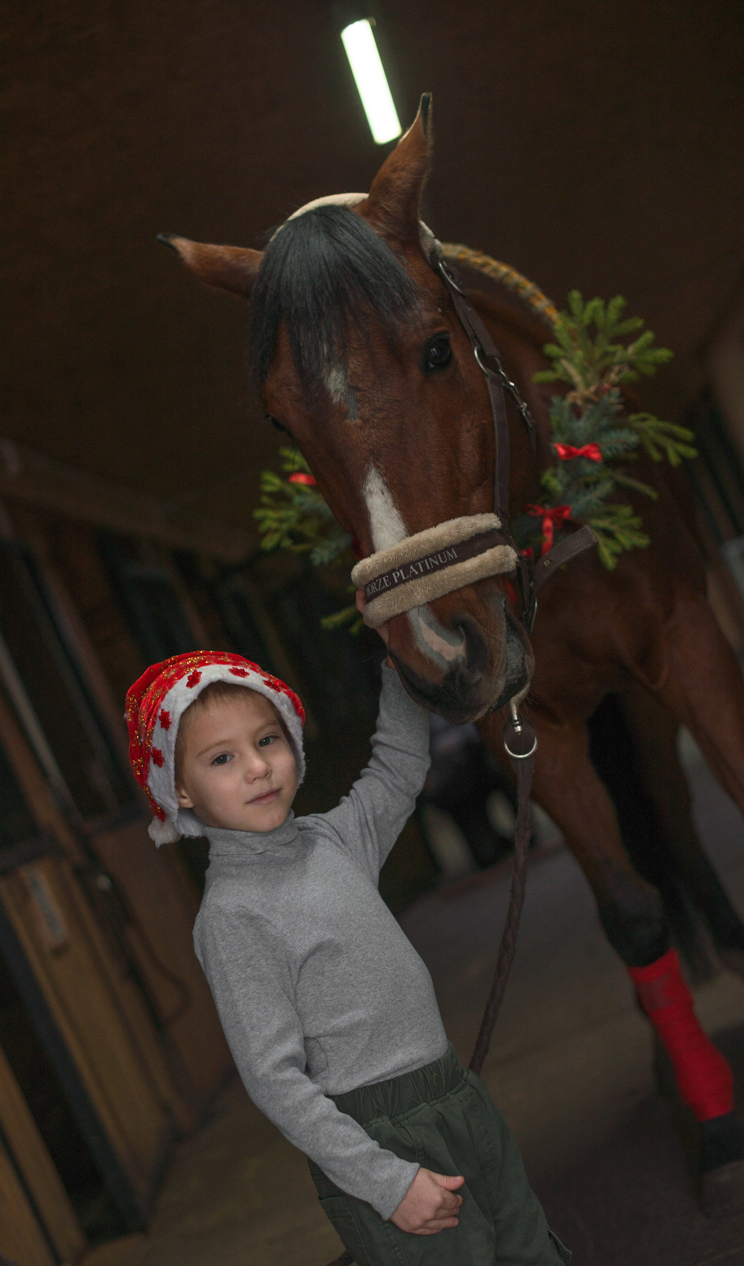 Дети и лошади. Конный фотограф в Саратове Юлия Иванова