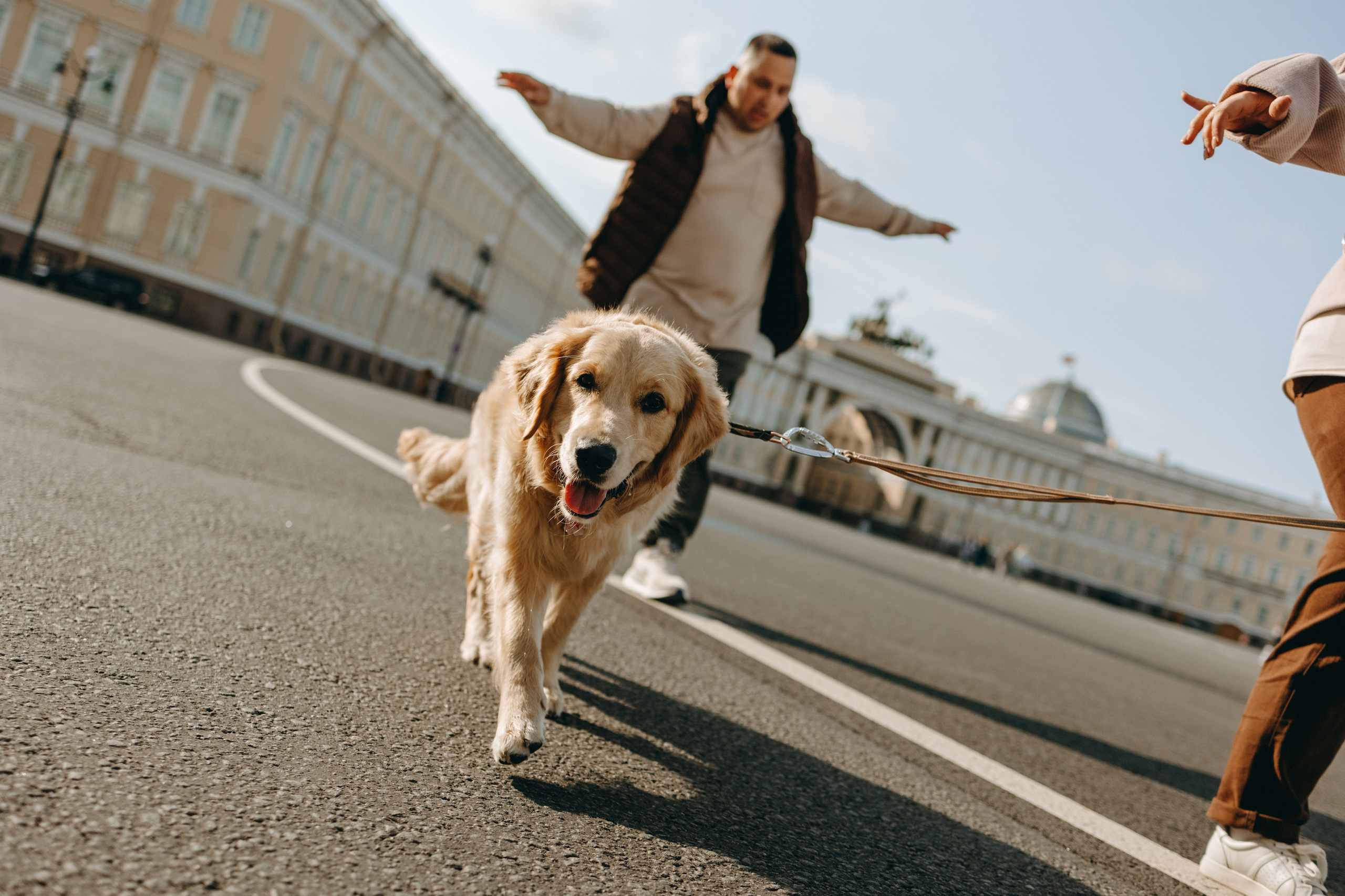 Бетти и ее семья. Фотограф — Анималист | Санкт-Петербург