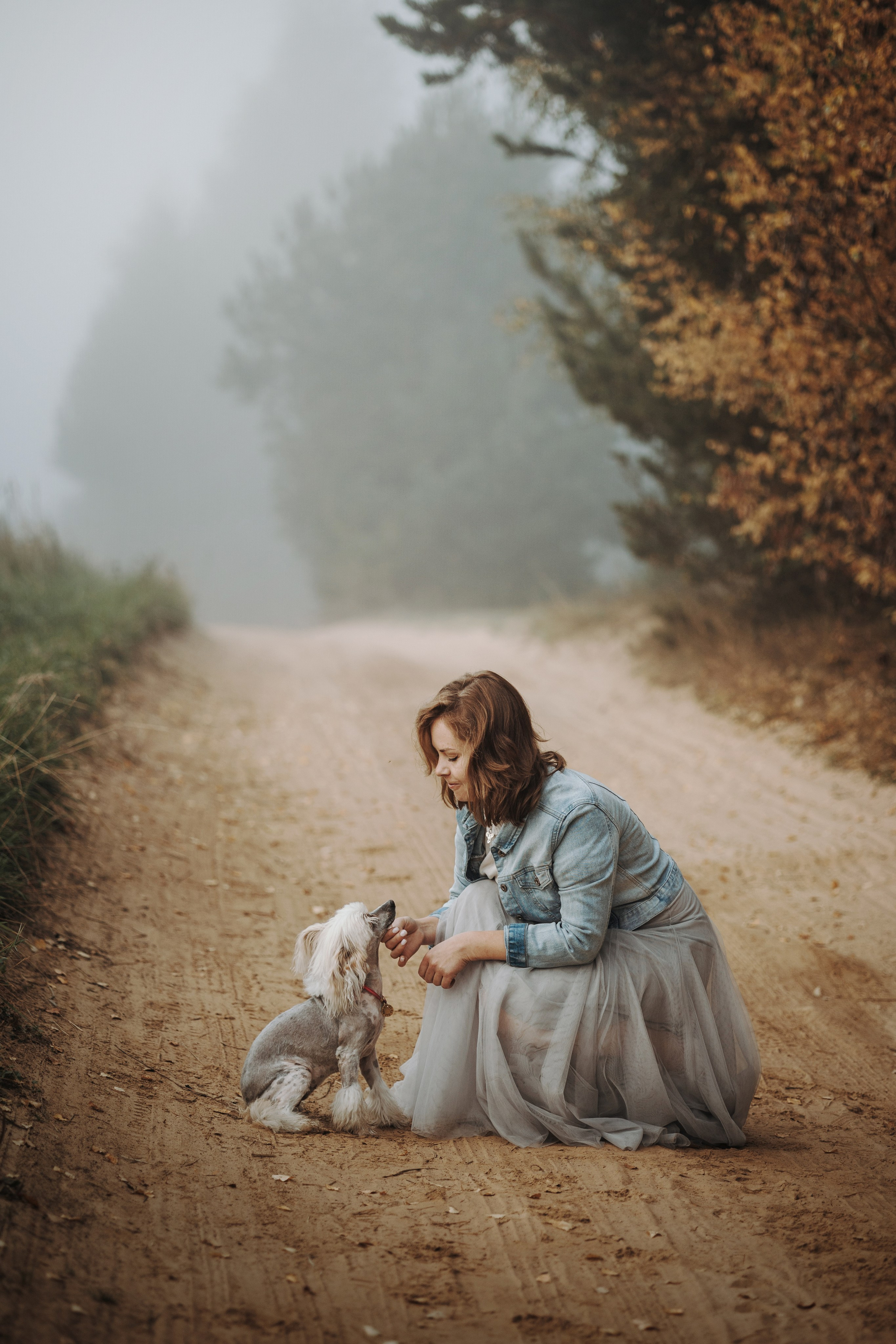 Любовь и ее хвостики. Фотограф — Анималист | Санкт-Петербург