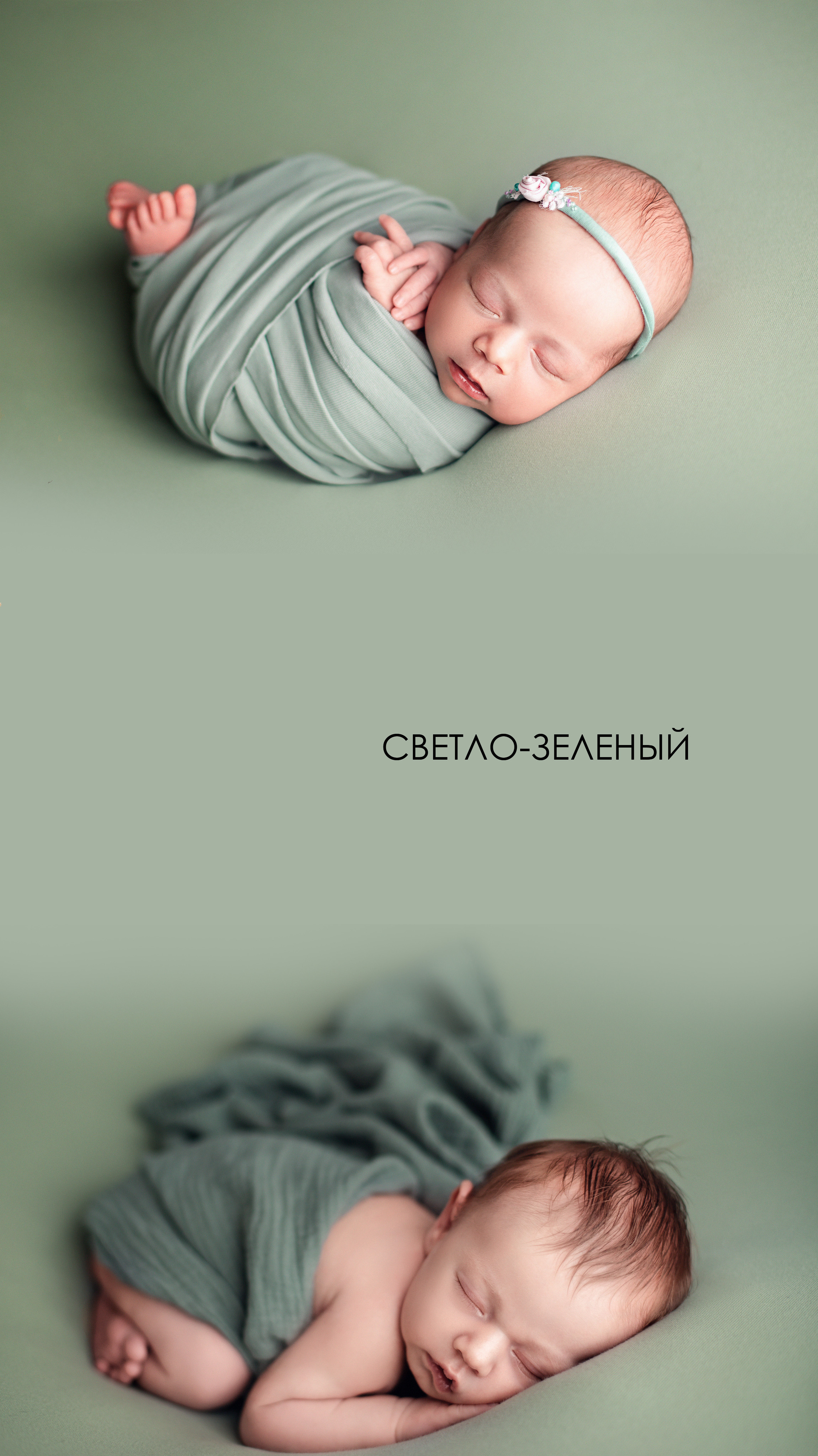 Фоны на выбор. Фотограф новорожденных в г. Барнаул Ренпенинг Катерина