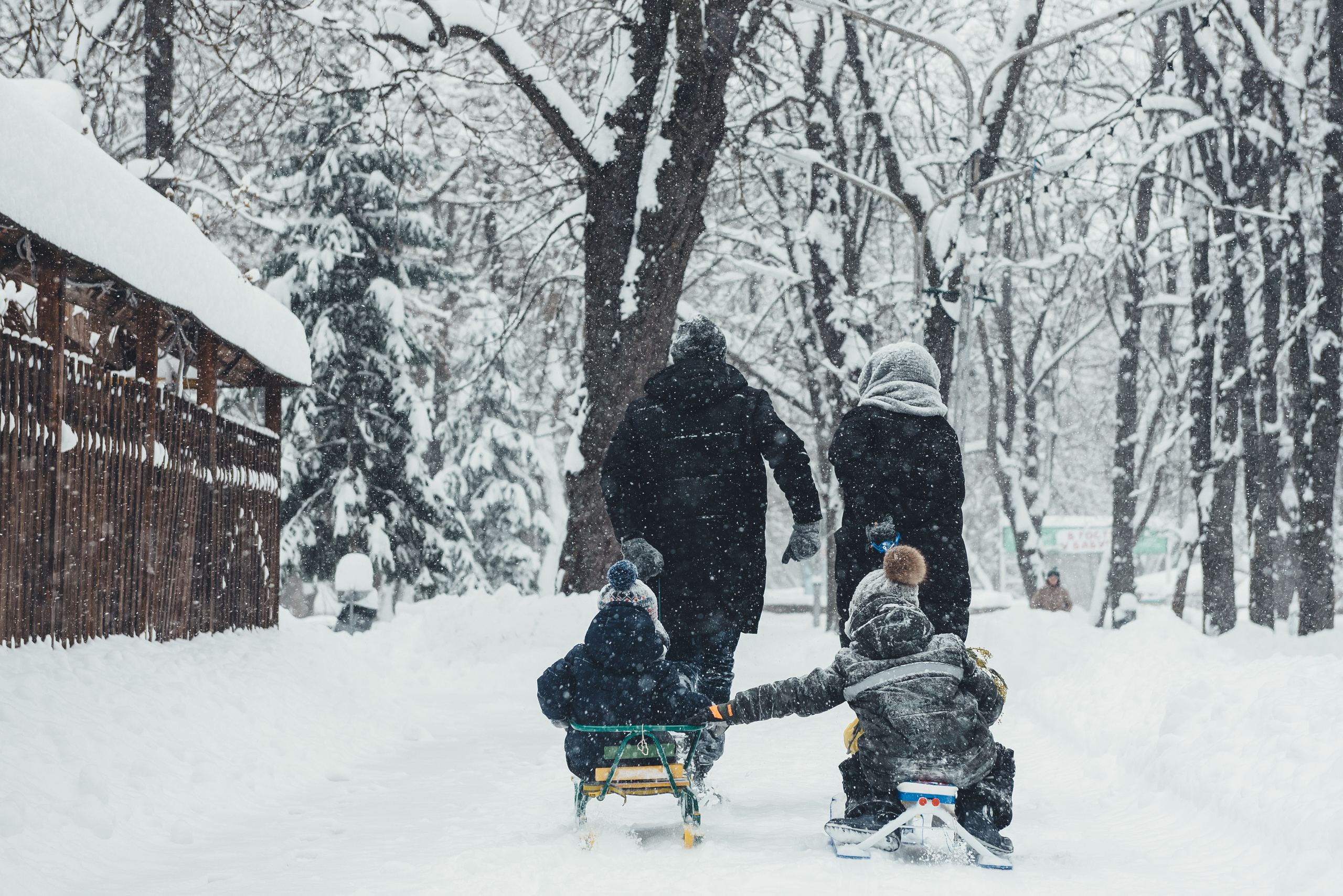 Снежная прогулка. Свадебный и семейный фотограф в Ставрополе Роман Иванов