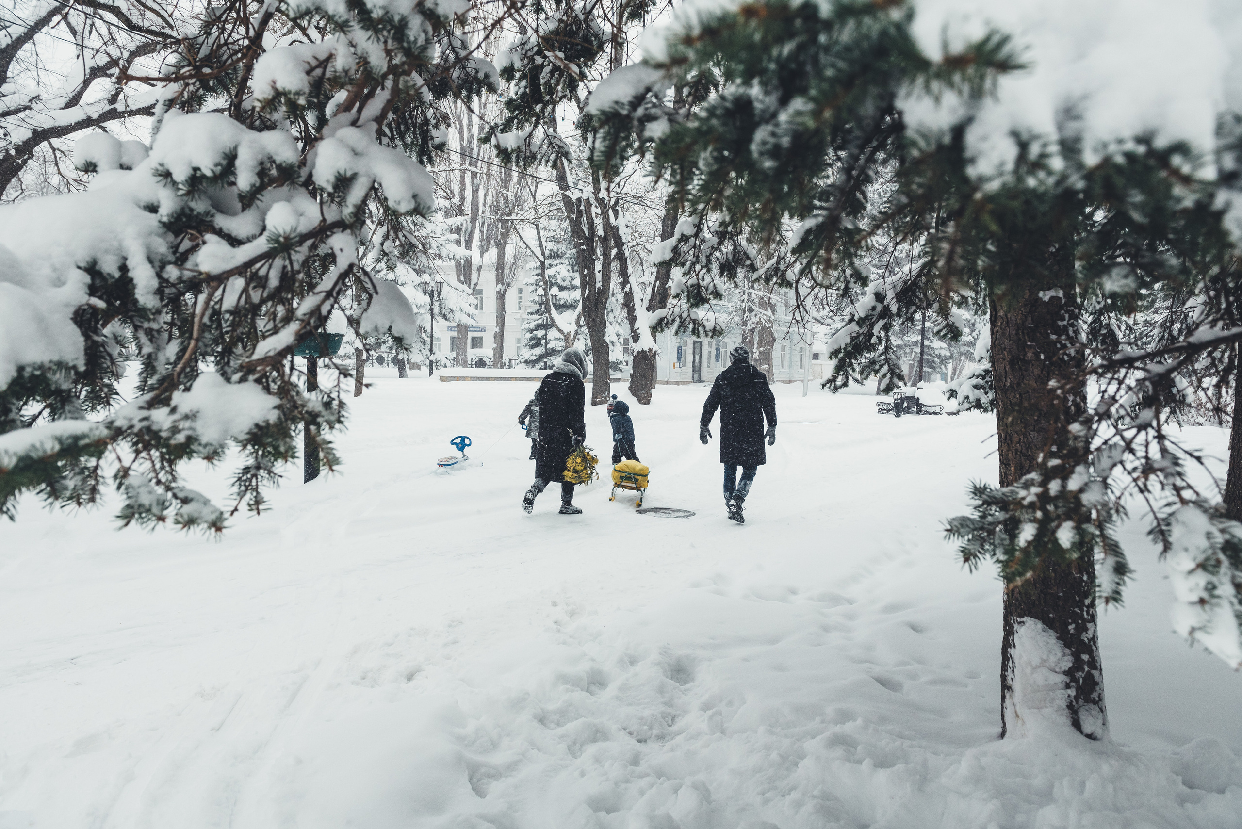 Снежная прогулка. Свадебный и семейный фотограф в Ставрополе Роман Иванов