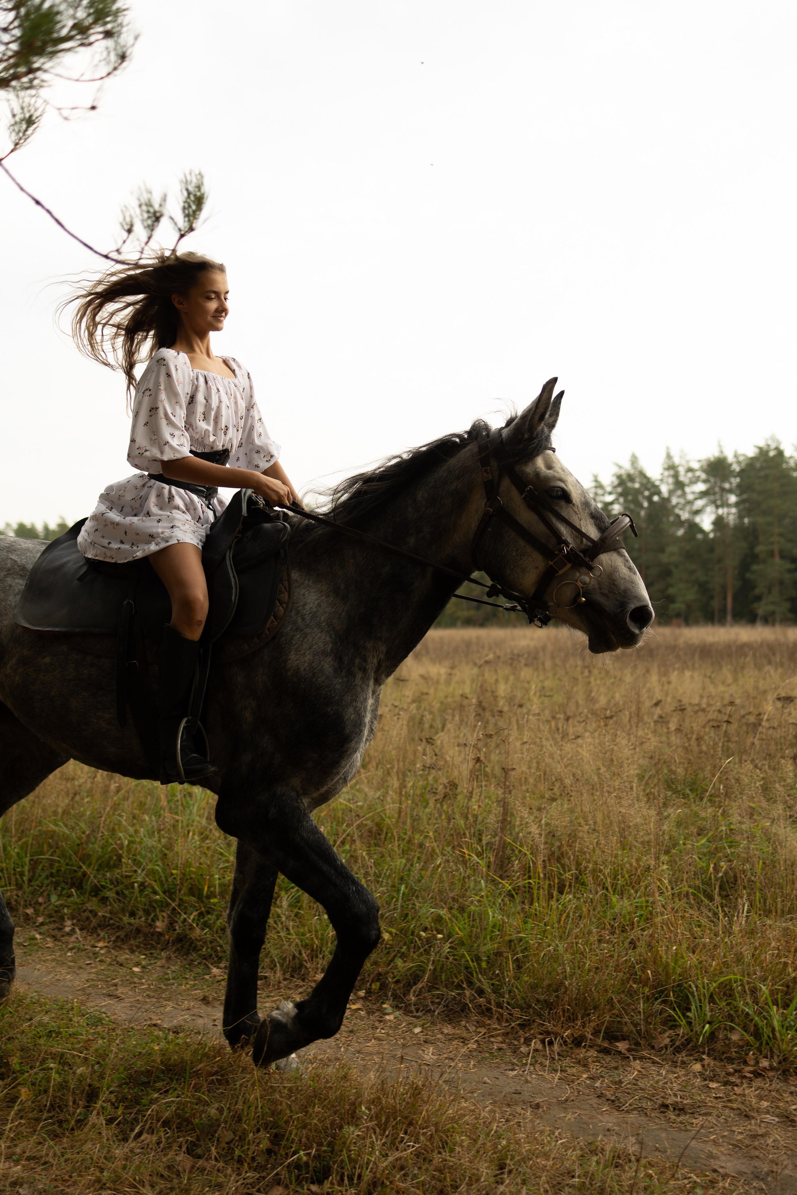 Лошади. Ваш фотограф в Москве и области Юлия