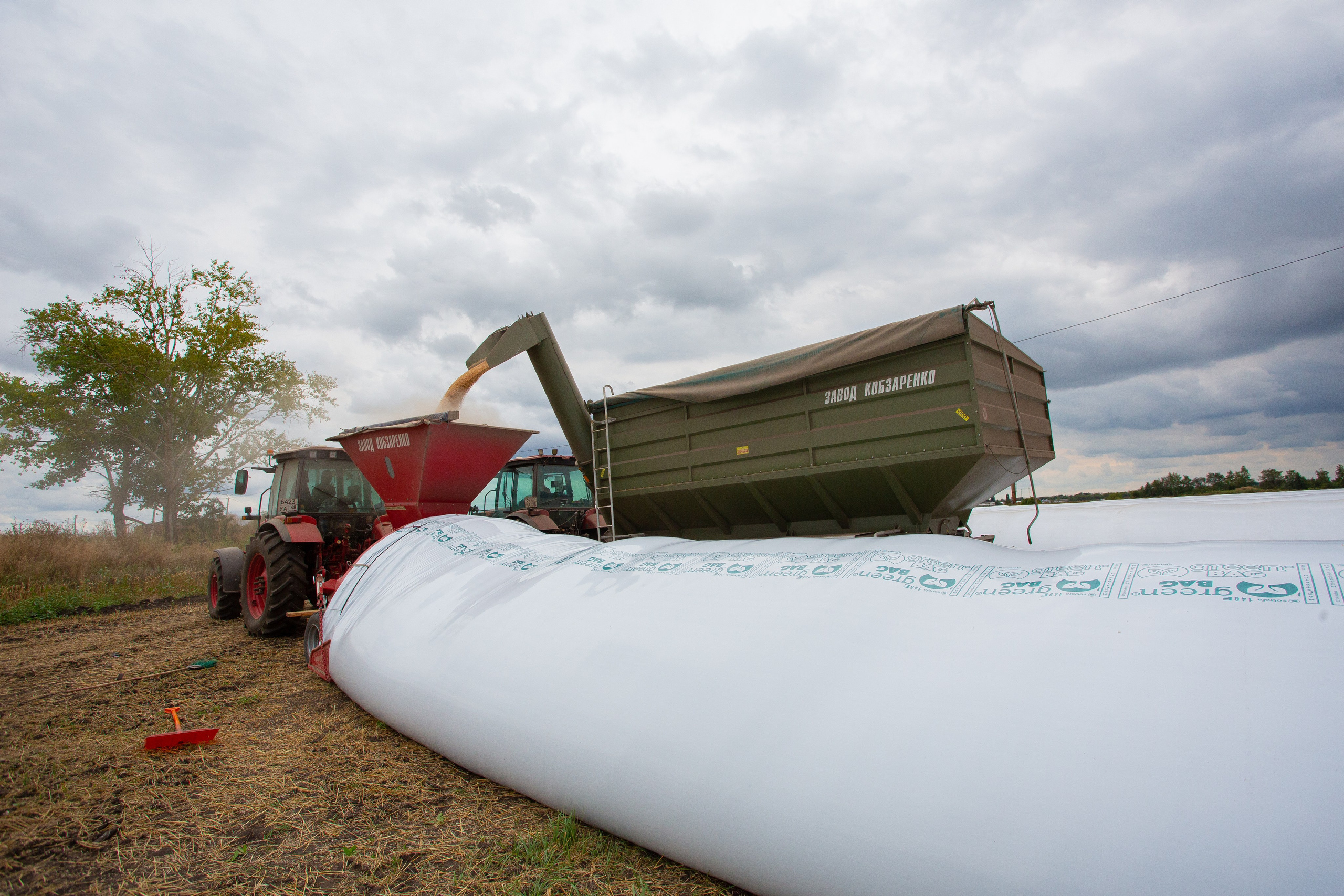 Укладка зерна в полимерные рукава (мешки для хранения)