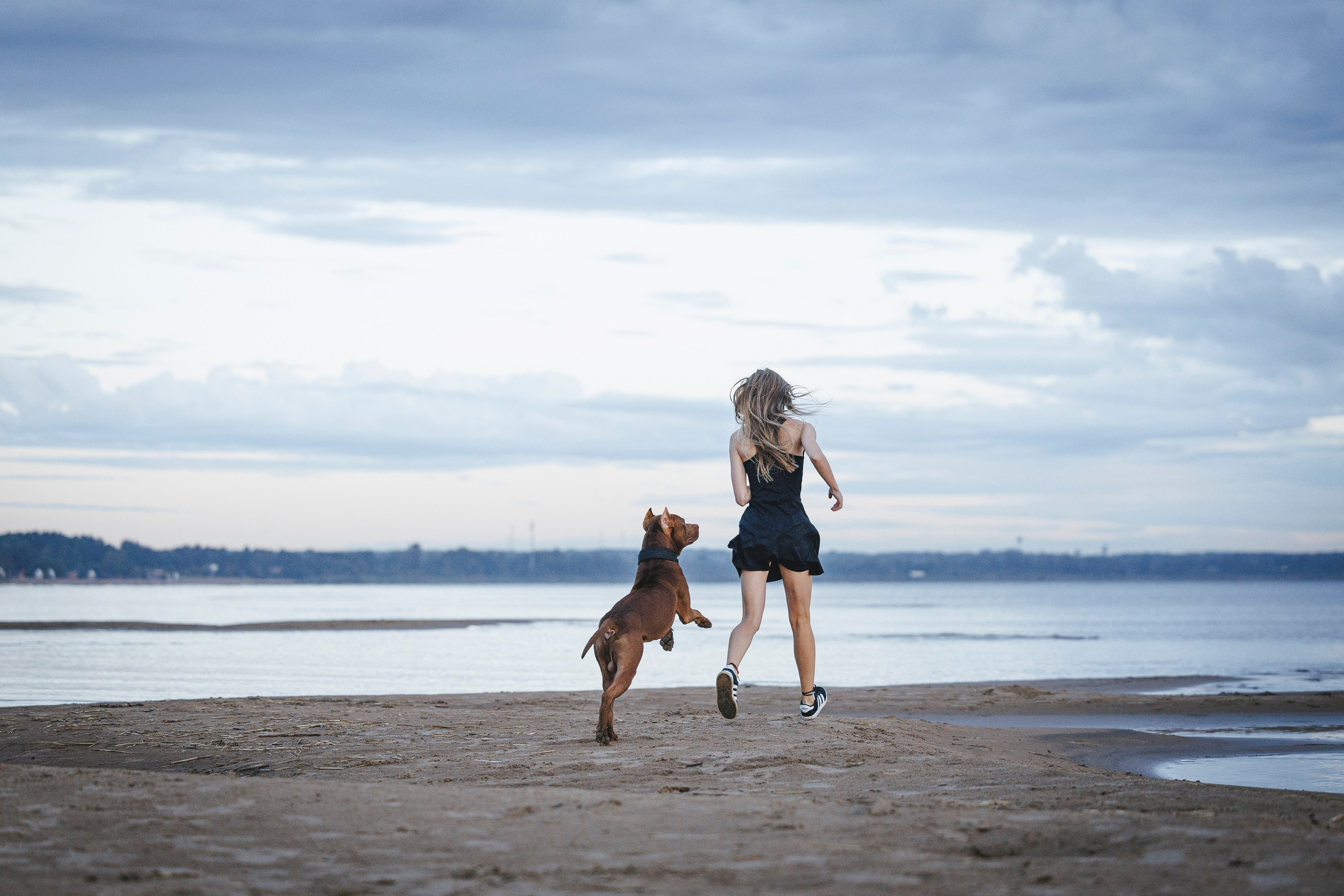 Яна и Энди. Фотограф-анималист Анна Маринич