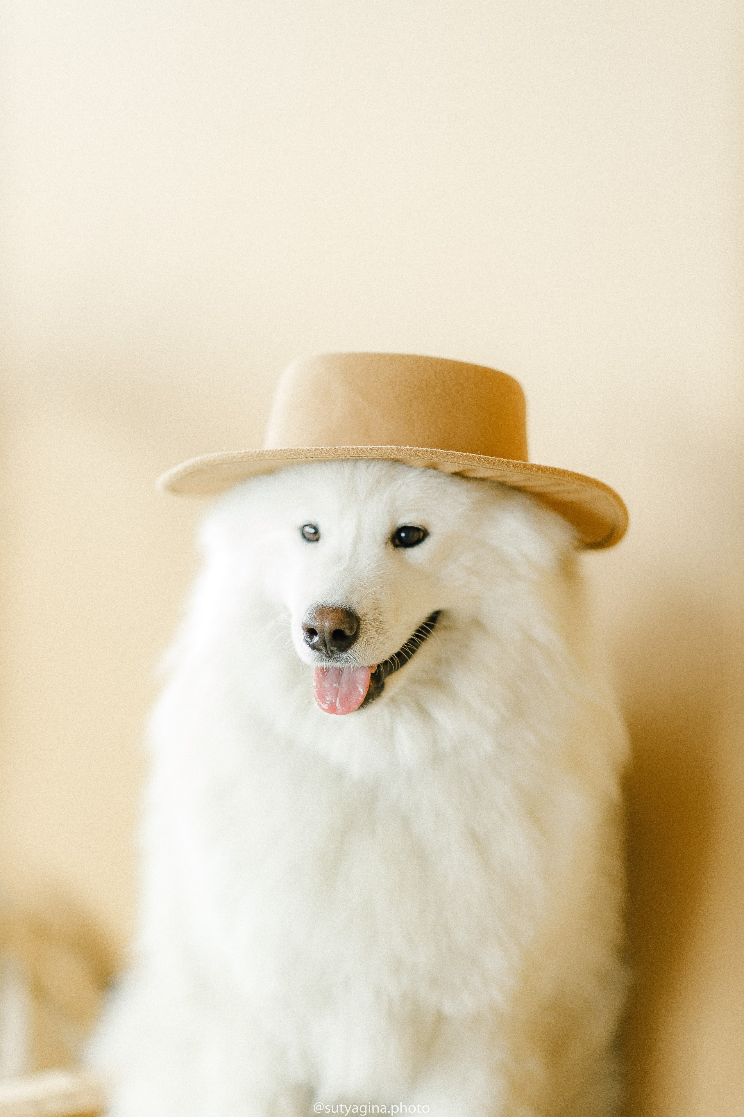 Самоед Мартин. Свадебный и женский фотограф