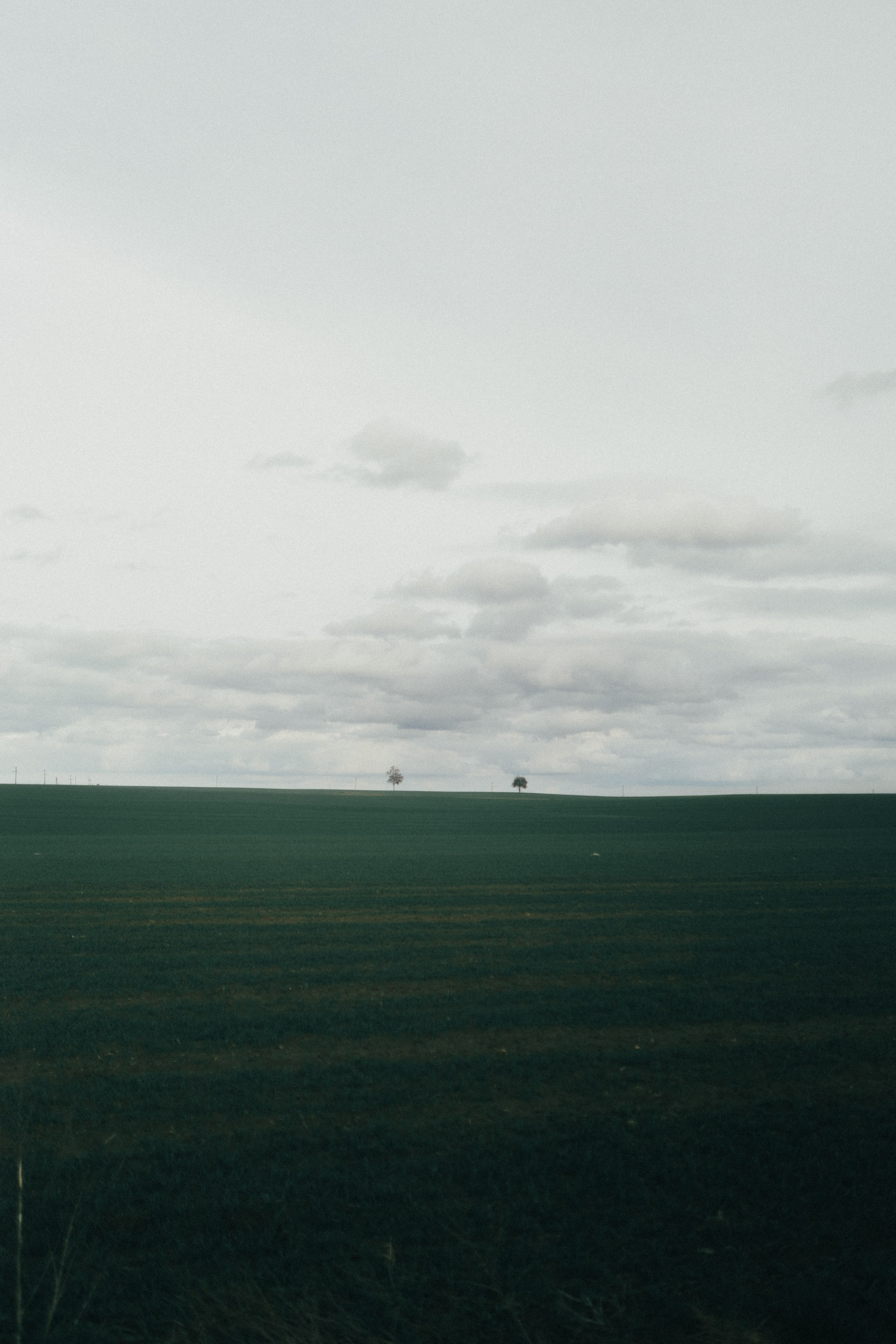 Artur. Свадебный и портретный фотограф в Калининграде и Москве Марк Юдинцев