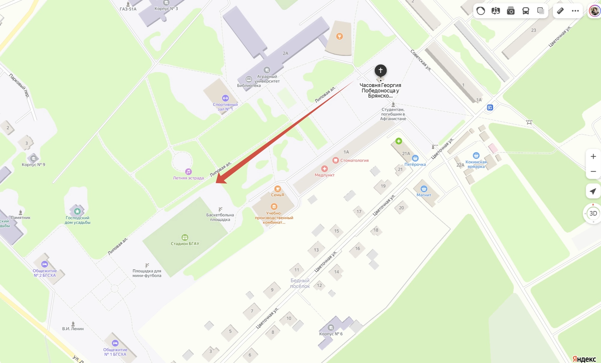 Кокино (Липовая аллея). Семейный и детский фотограф |Брянск| Анастасия Перепелкина