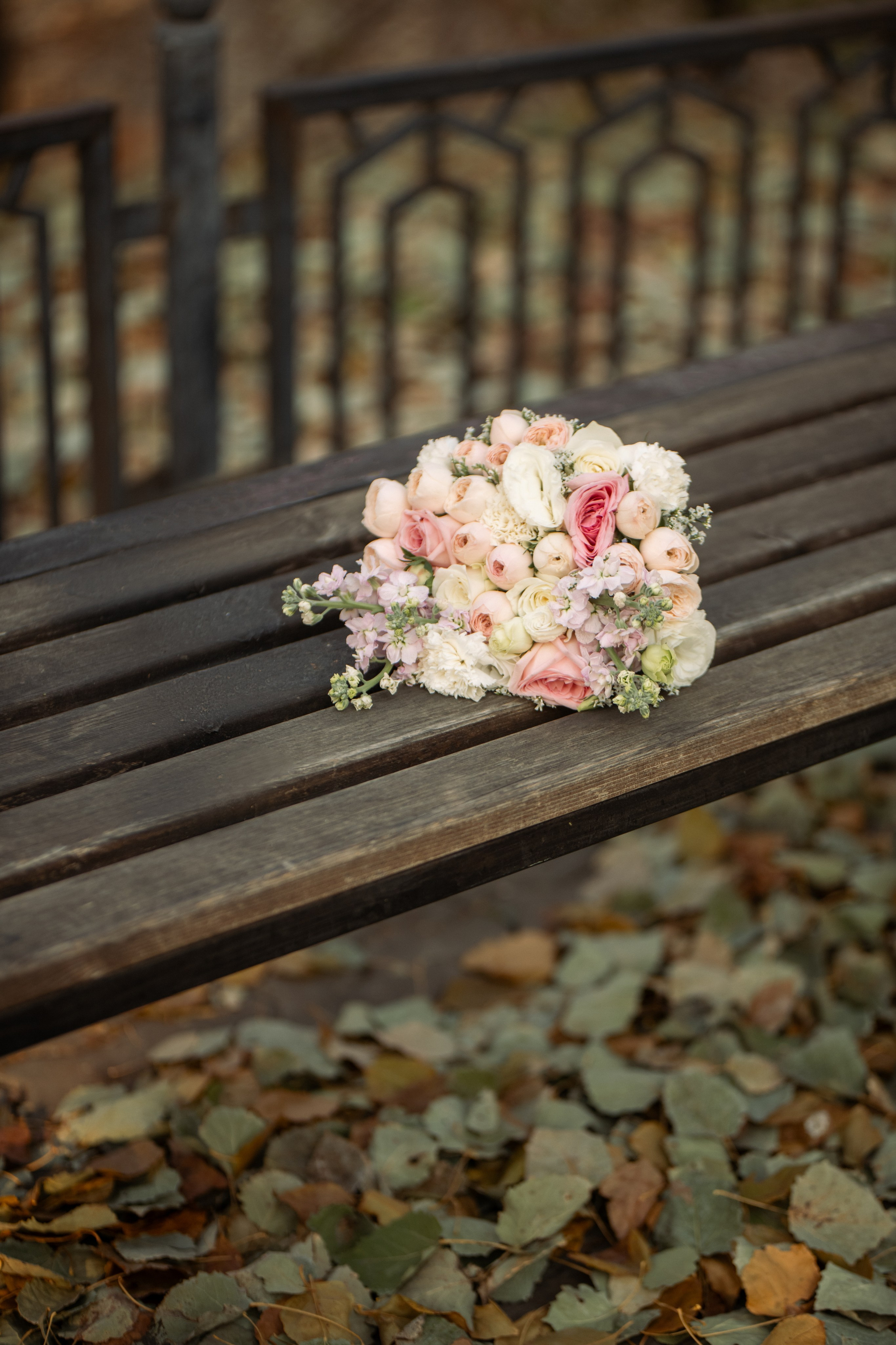 Михаил и Валерия 24.10.2025. Свадебный фотограф в Хабаровске Елена Андреенко