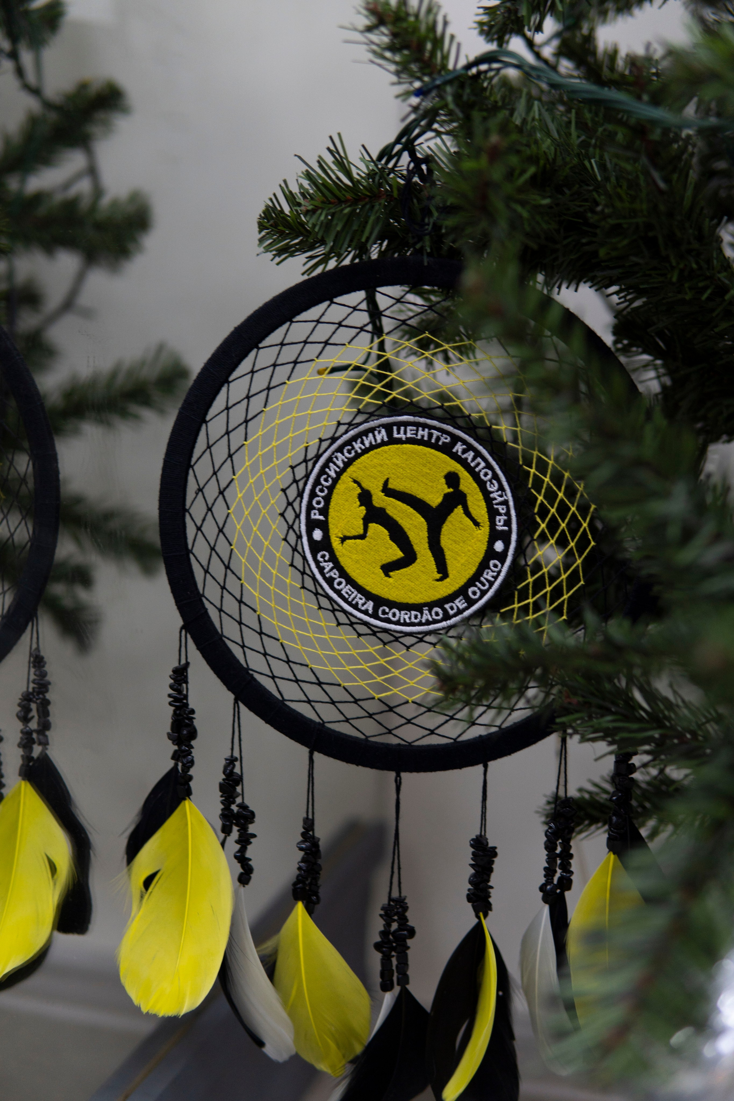 Capoeira new year. Фотограф Киров Токарева Марина