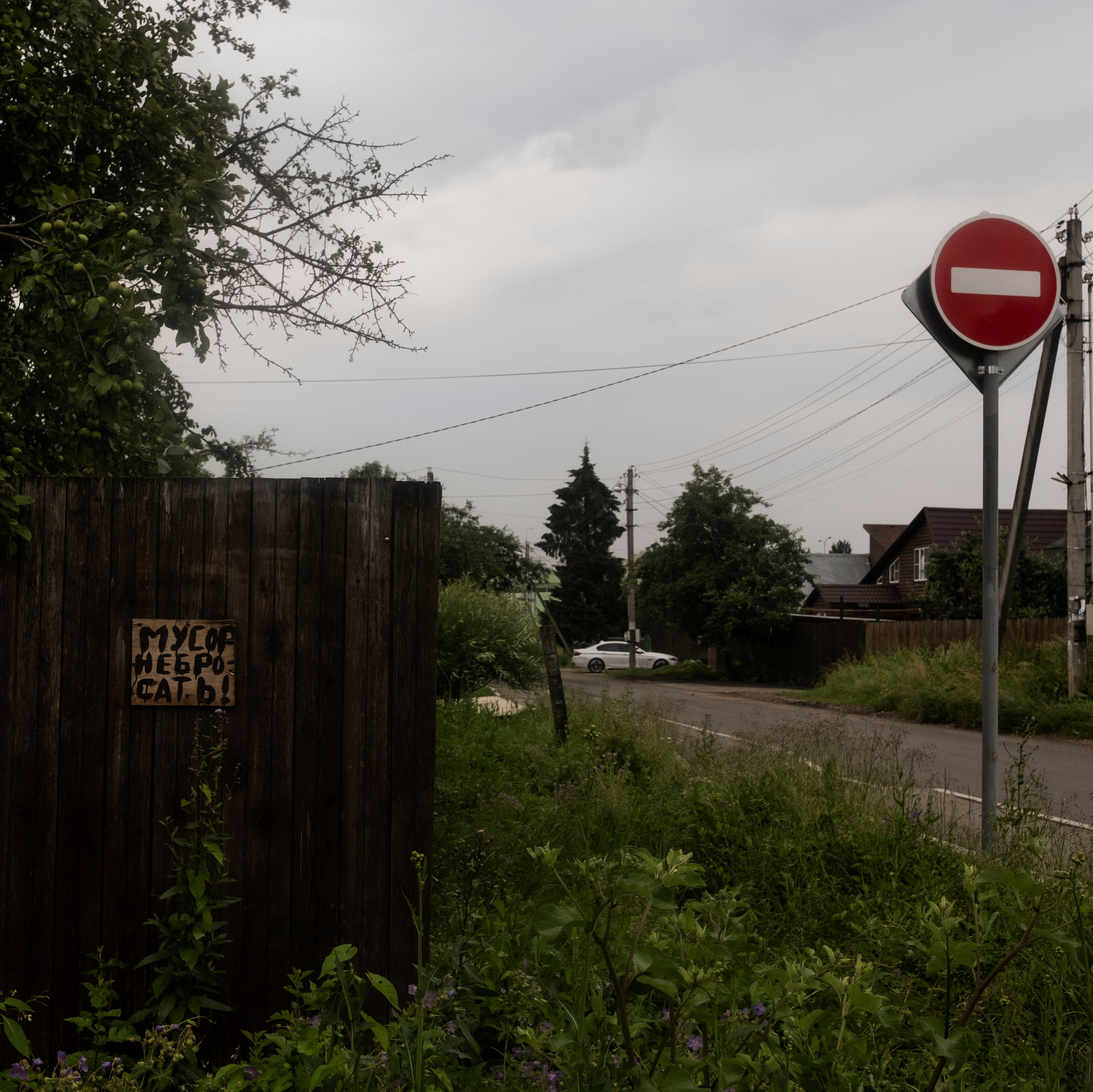Дача, 2020. Портретный фотограф в Москве Евгения Яковенко