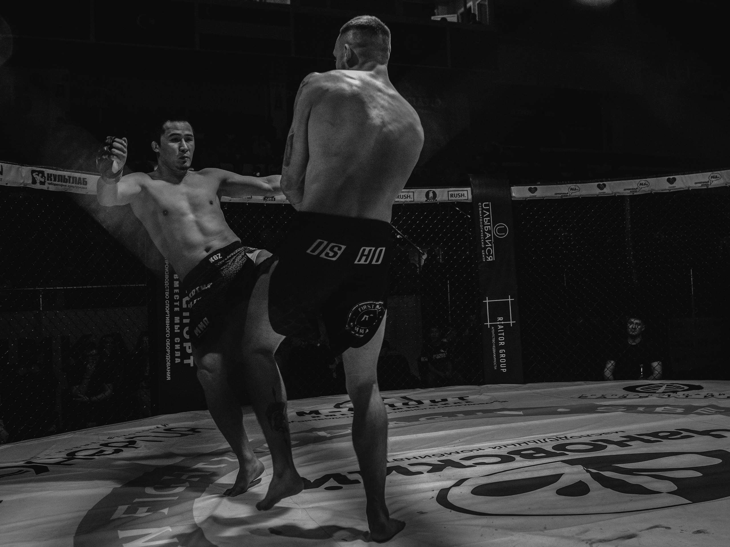 SFL 17 | Siberian Fighting League. Портретный фотограф в Москве Дарья Цезария