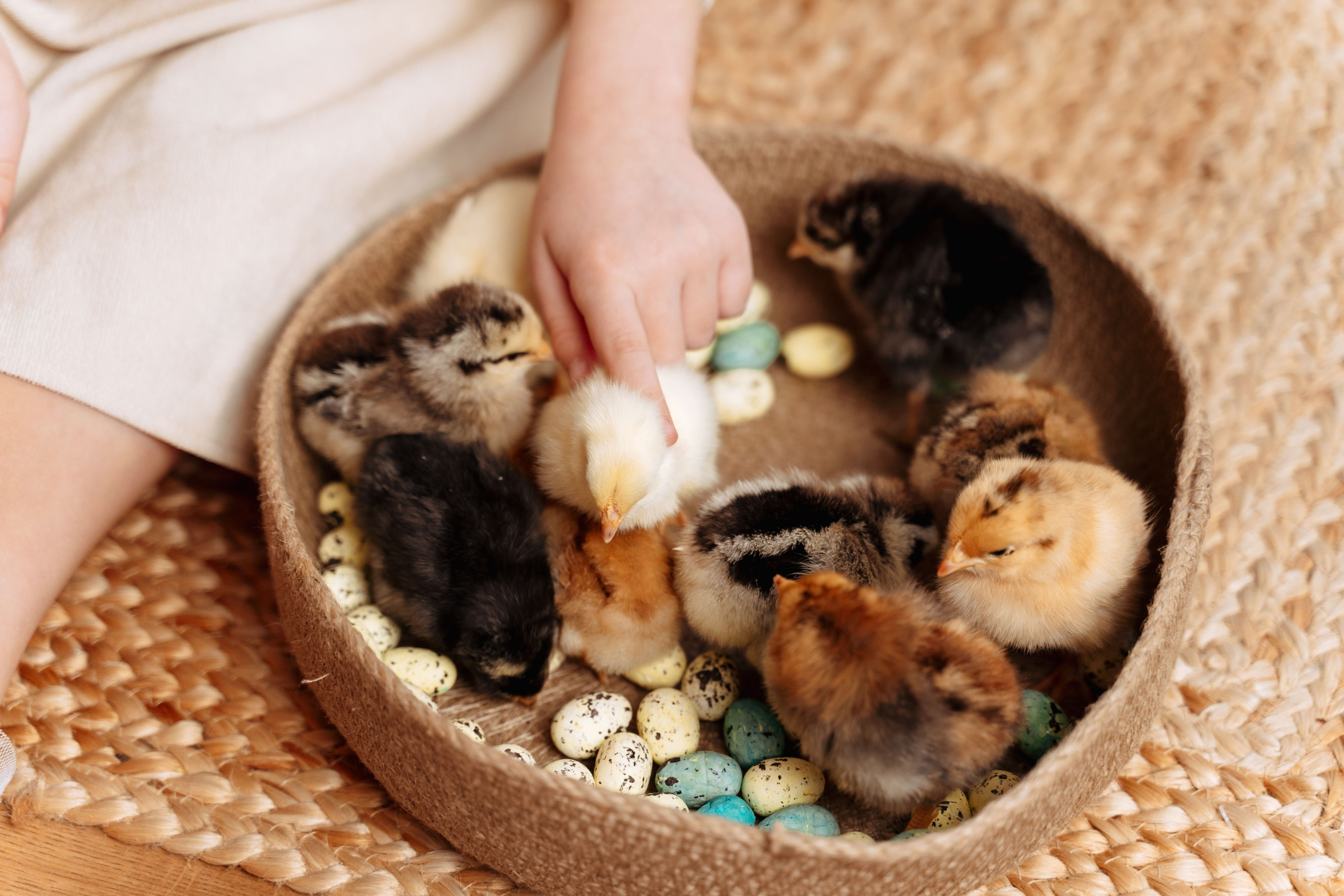 Пасха. Семейный фотограф Новочеркасск