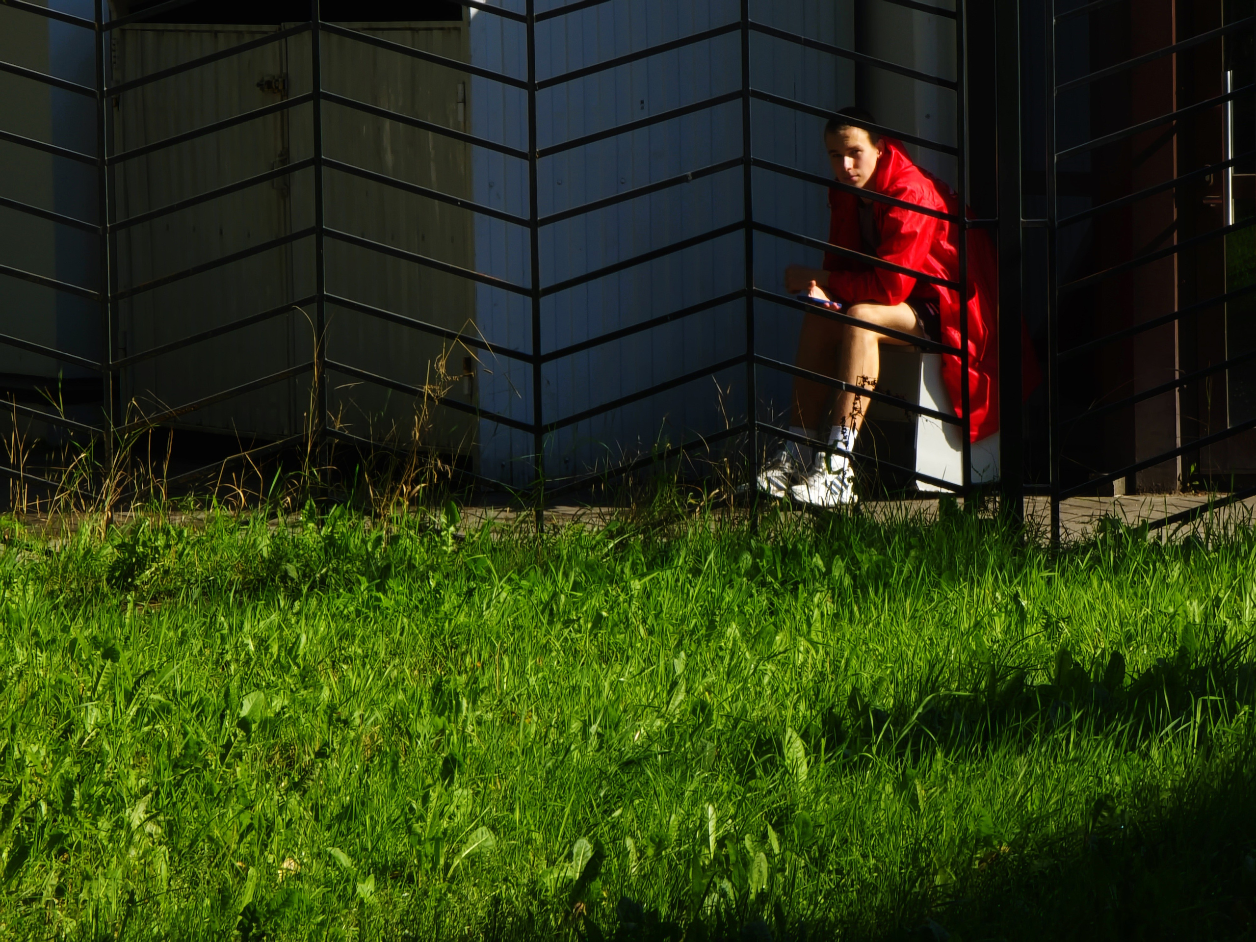 Август 2025. Den Mirov — Фотограф, Музыкант