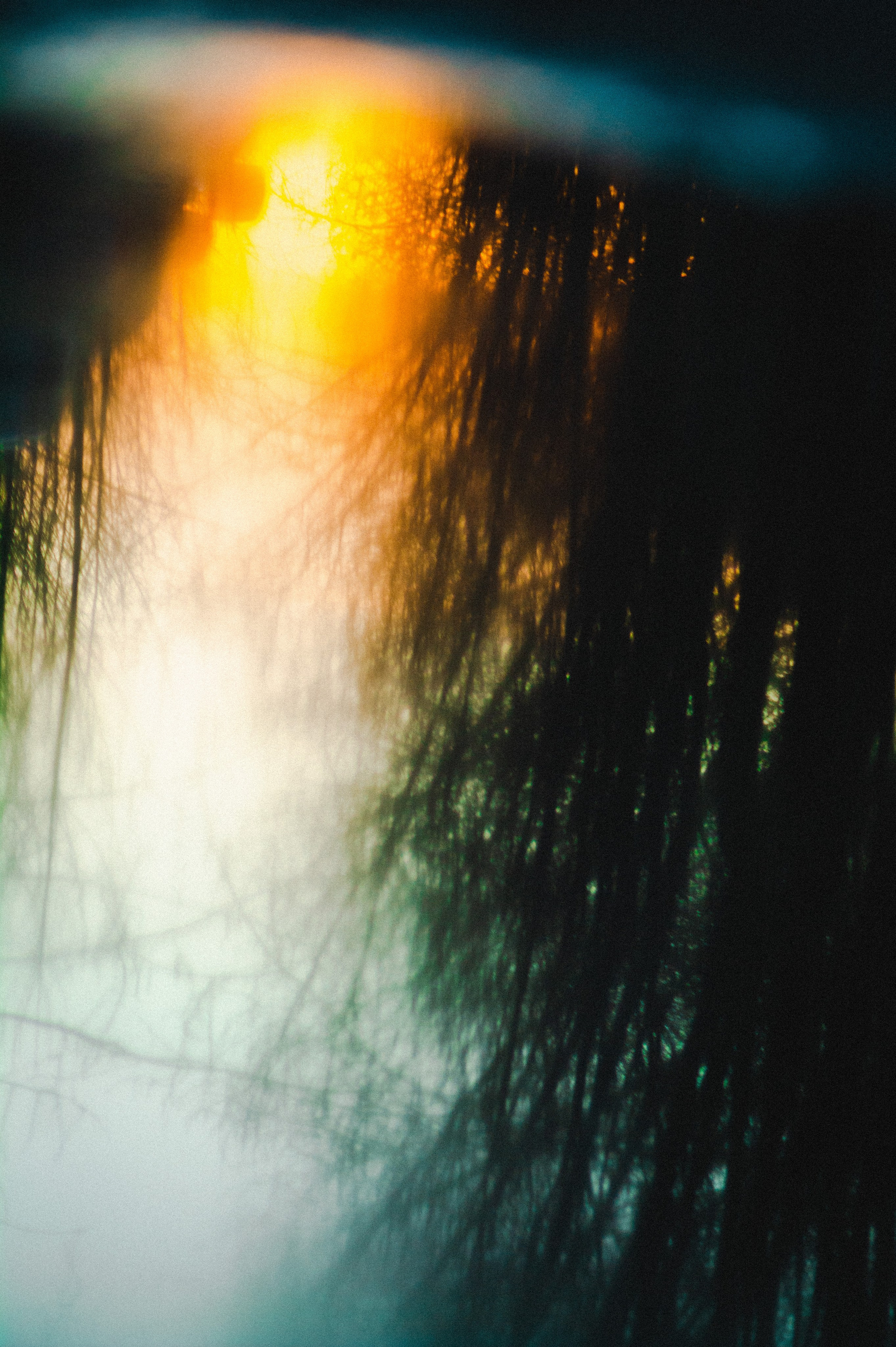 He spread his wings. Den Mirov — Photographer, Musician