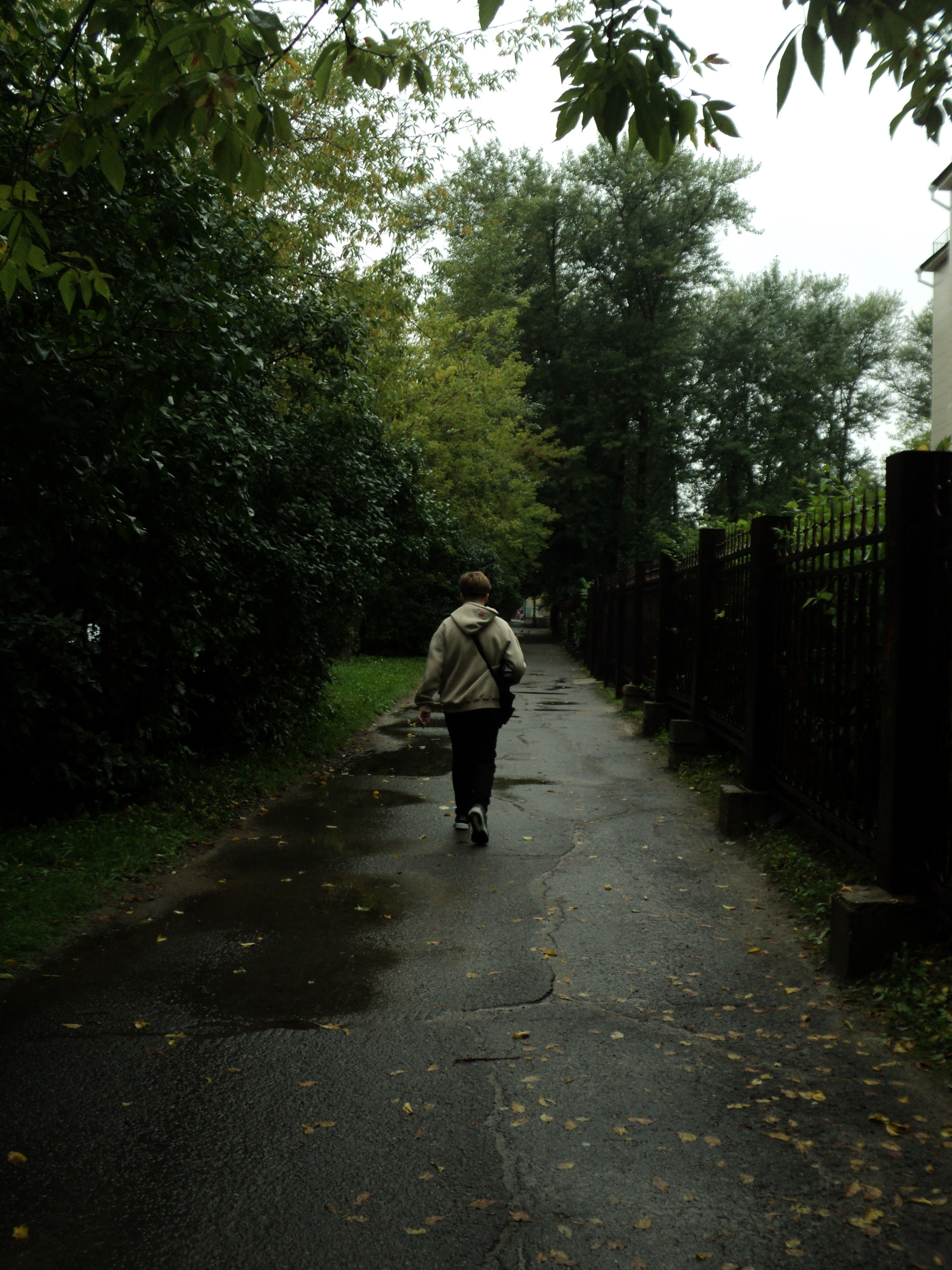 Сентябрь 2025. Den Mirov — Фотограф, Музыкант