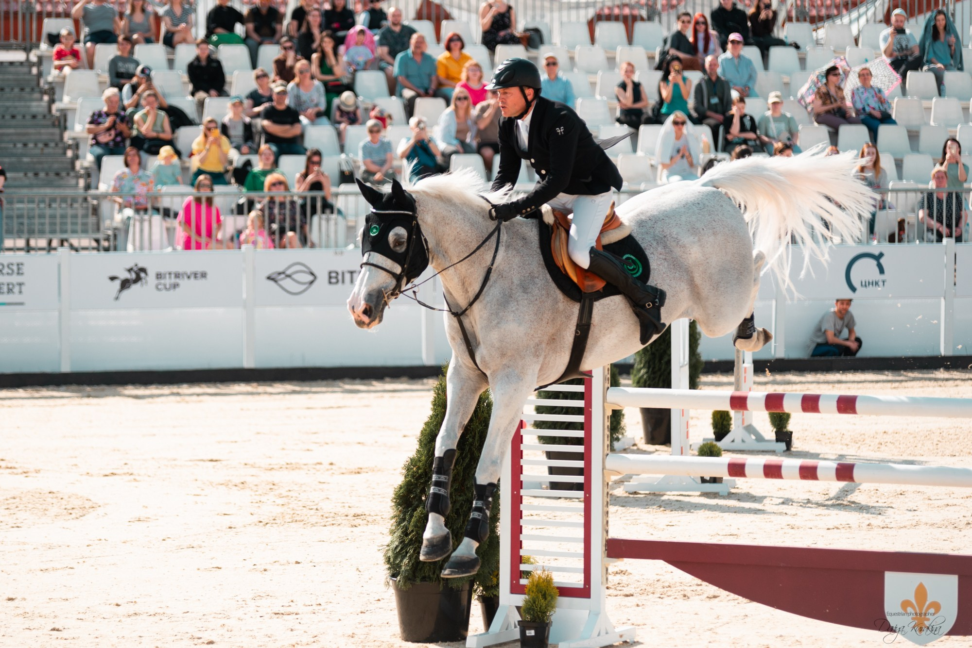 BITRIVER CUP 2023. Конный фотограф Куракина Дарья • Фотосессии с лошадьми
