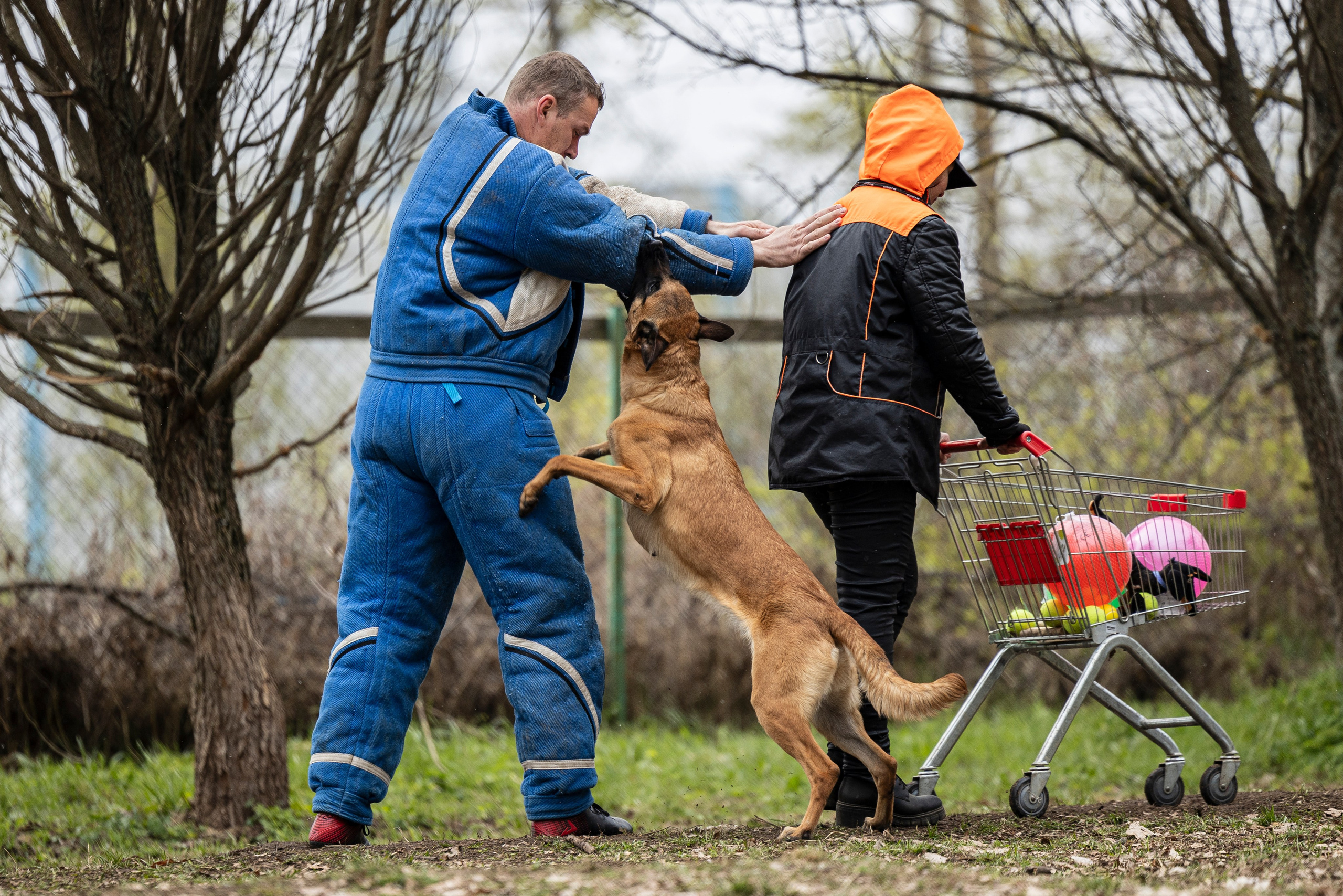 Квалификационные состязания по мондьорингу г. Вологда 11.05.24. Фотограф-анималист Анна Маринич