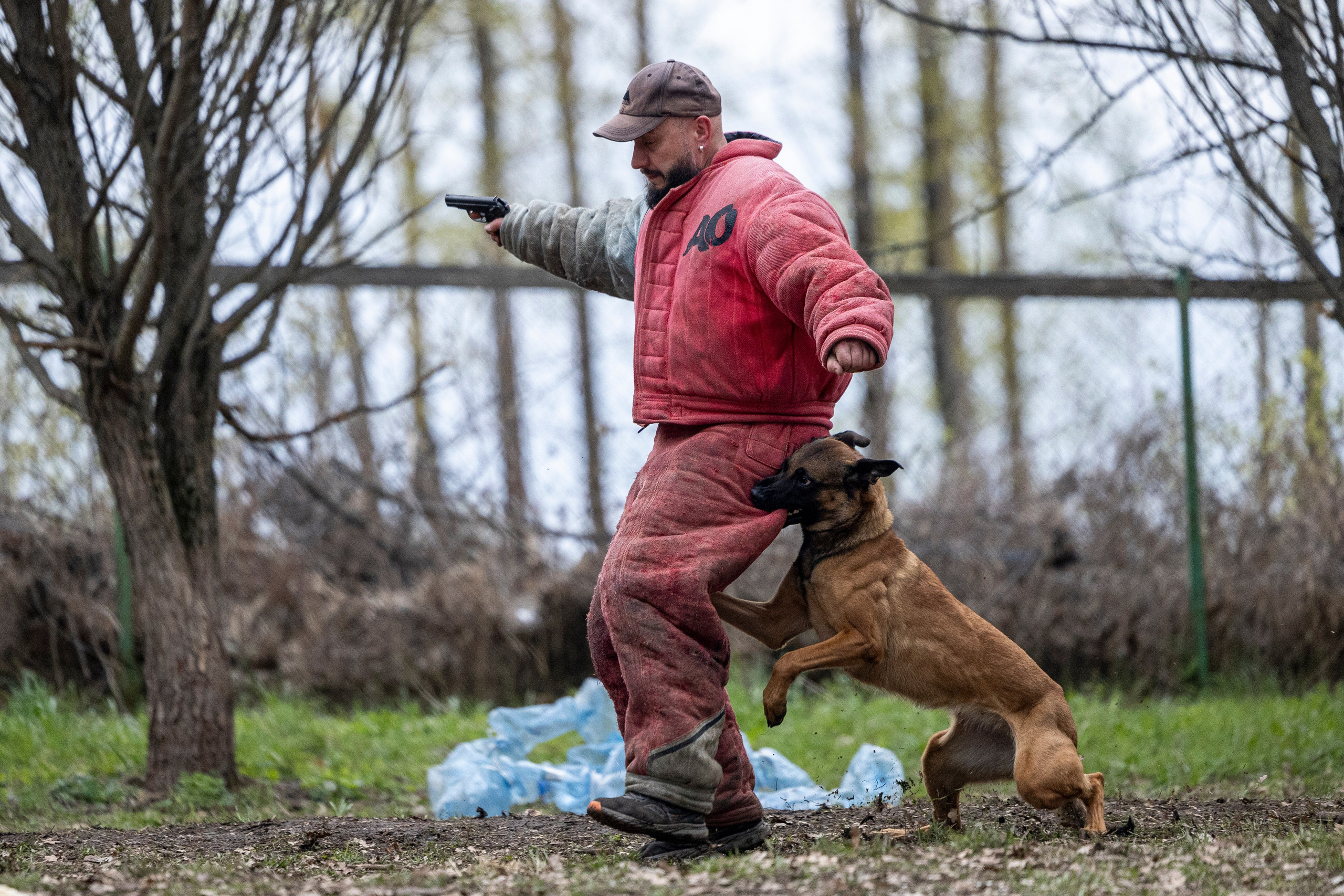 Квалификационные состязания по мондьорингу г. Вологда 11.05.24. Фотограф-анималист Анна Маринич