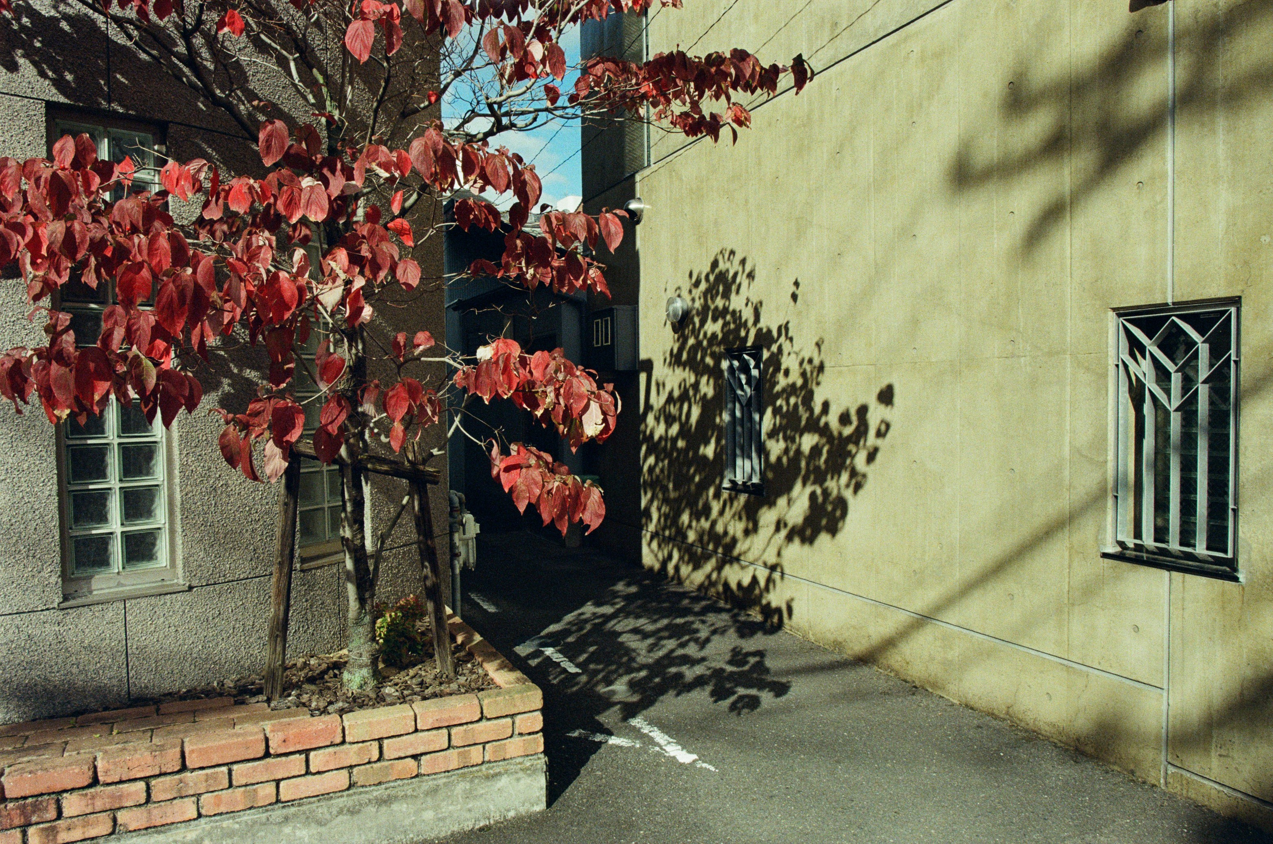 Out of noise // japan, kyoto IV. EVER EXPOSED