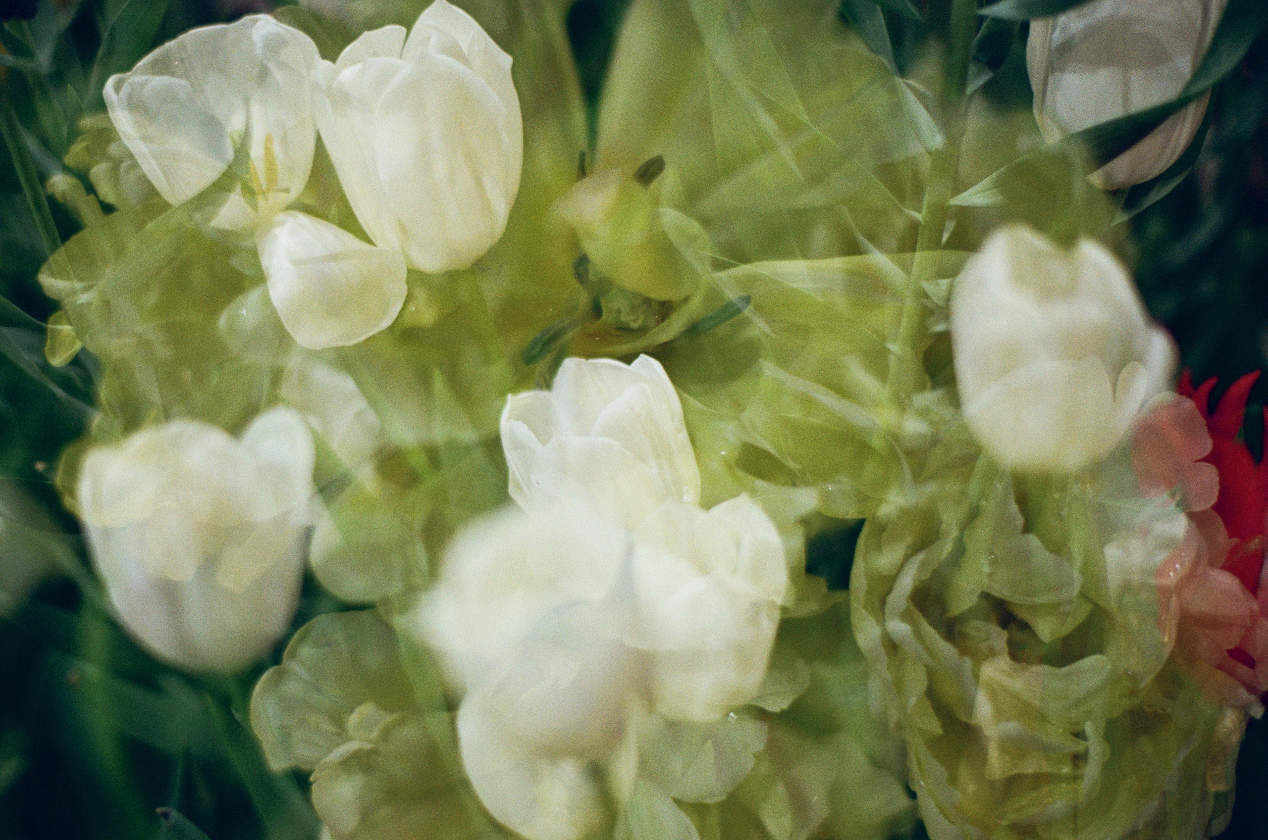 If i get high V. EVER EXPOSED