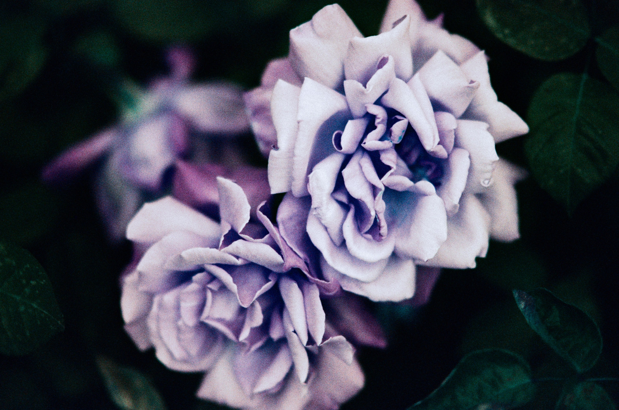 Pain shopping // ukraine, crimea III. EVER EXPOSED