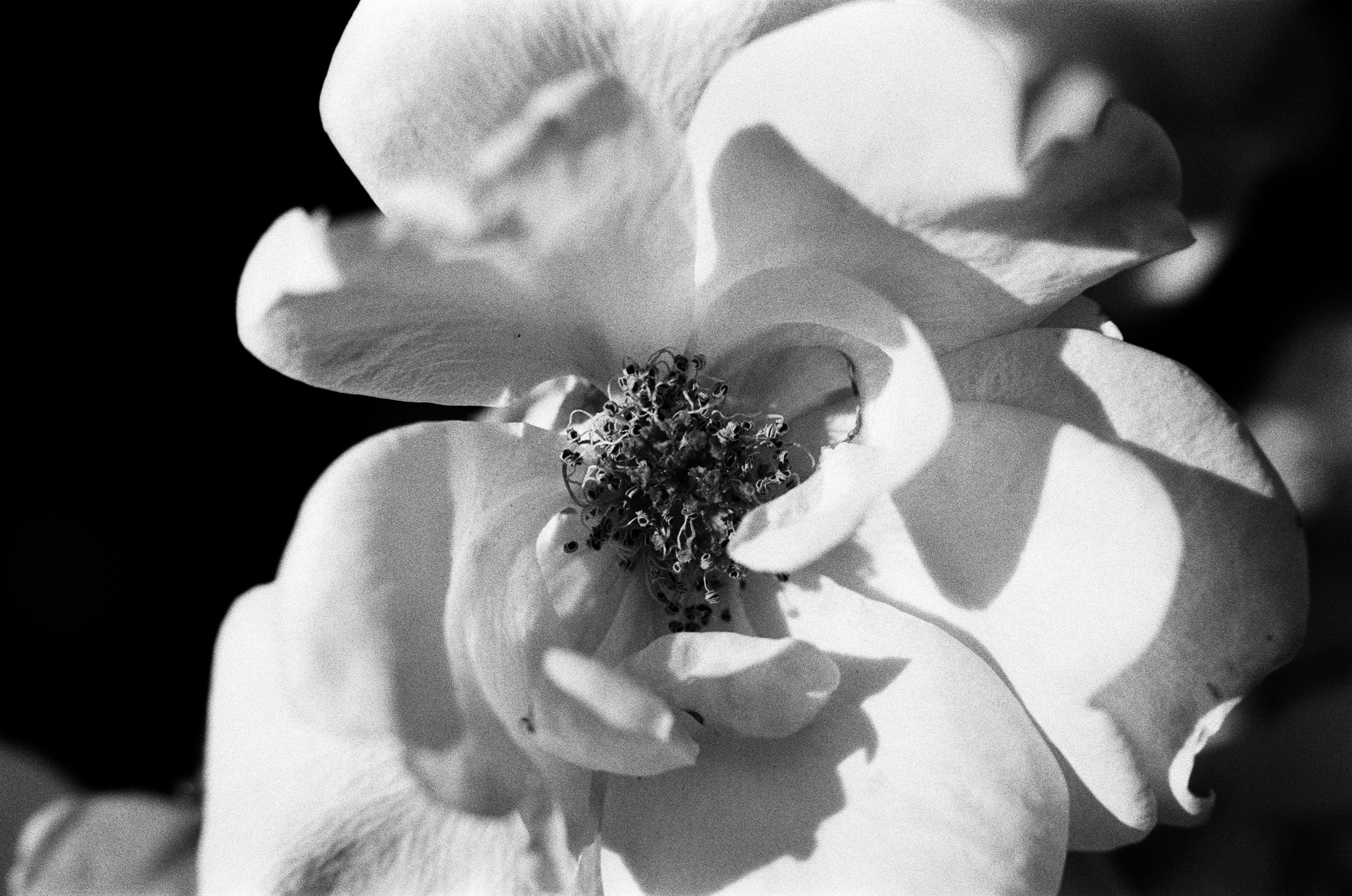 Oblomki chuvstv // ukraine, crimea VII. EVER EXPOSED