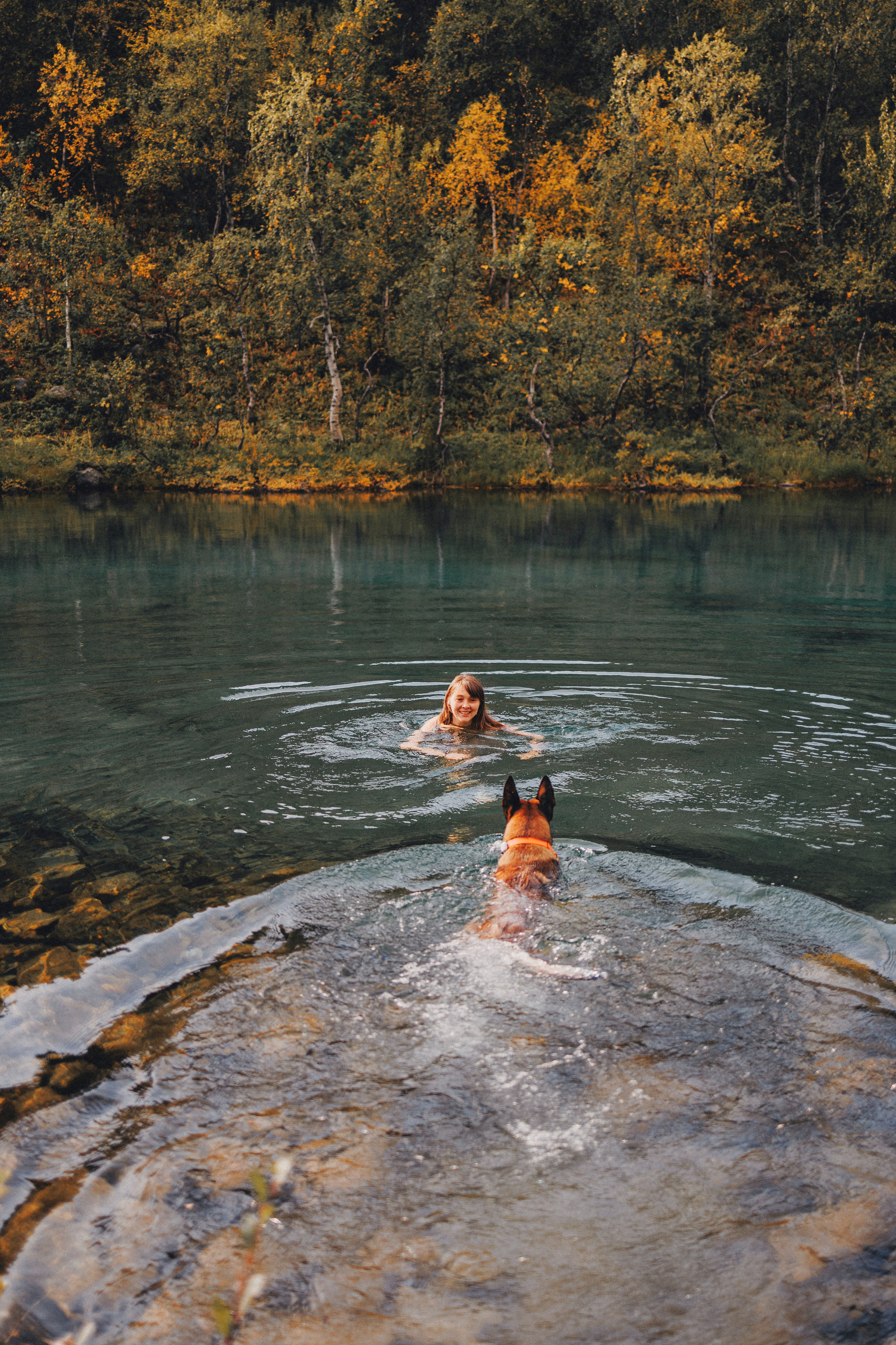 Горное озеро. Фотограф-анималист Анна Маринич