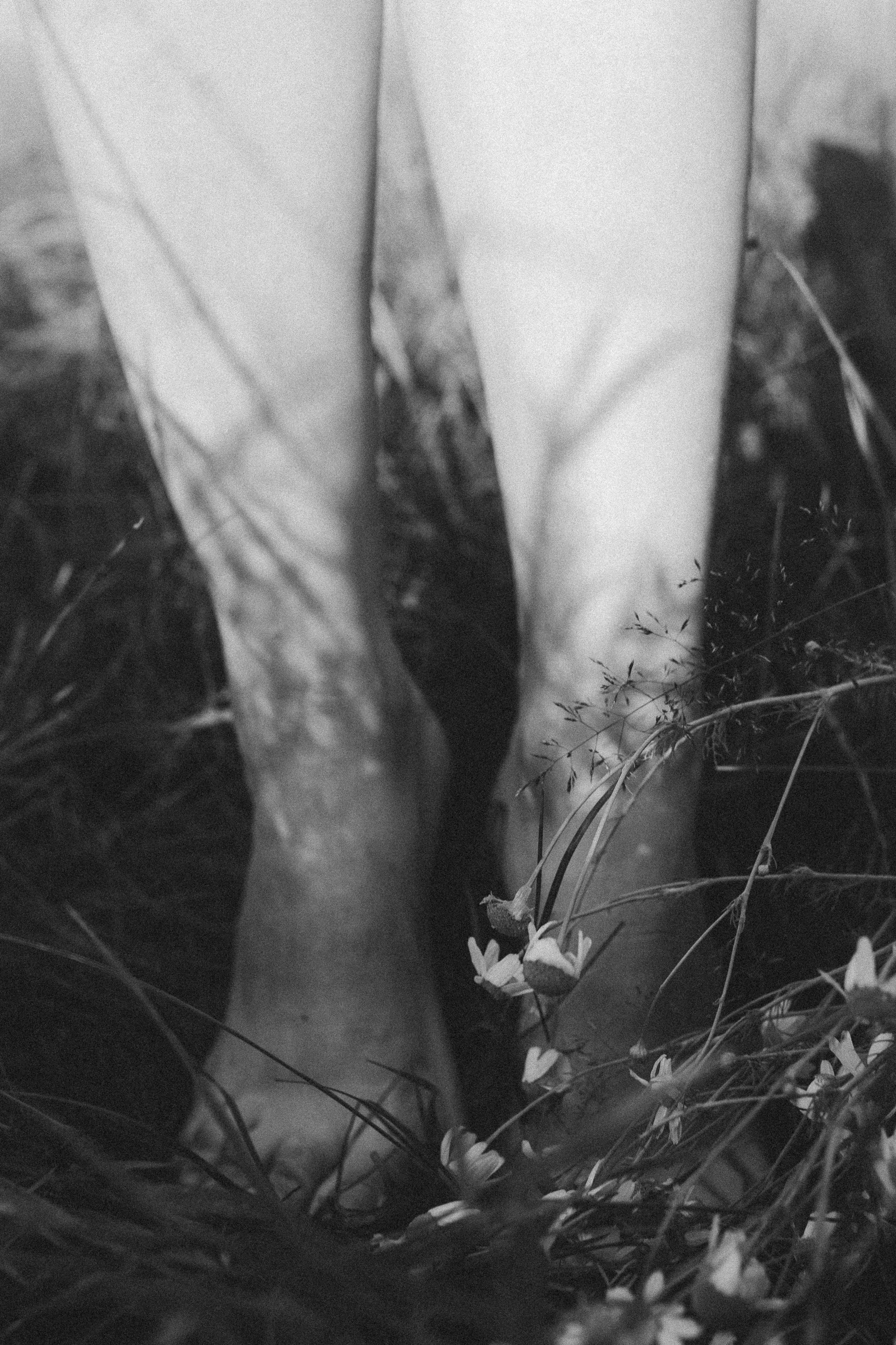 Индивидуальная/портрет. Фотограф НИНА ФЕДОРОВА