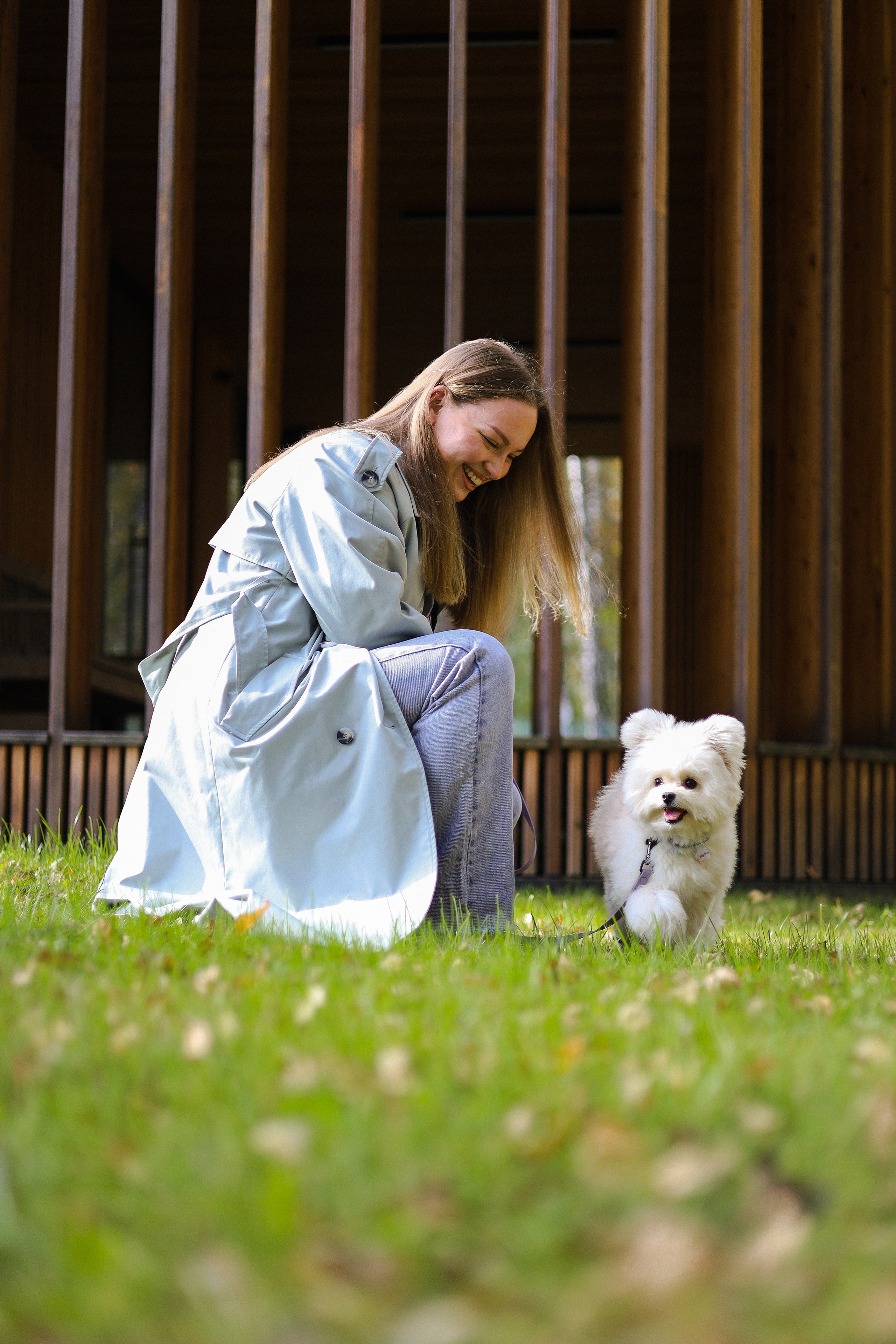 Купер и Надежда. Фотограф-анималист Ксения Шевцова|Москва