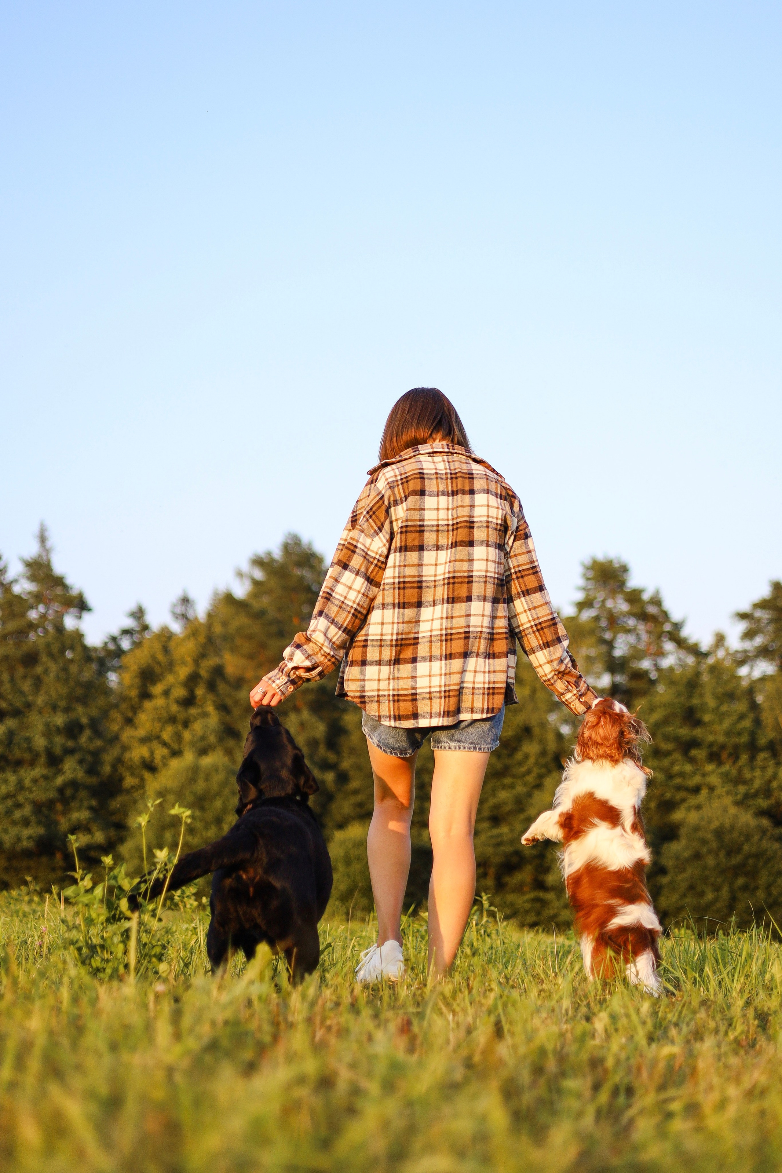 Бонни, Лея и Лера. Фотограф-анималист Ксения Шевцова|Москва