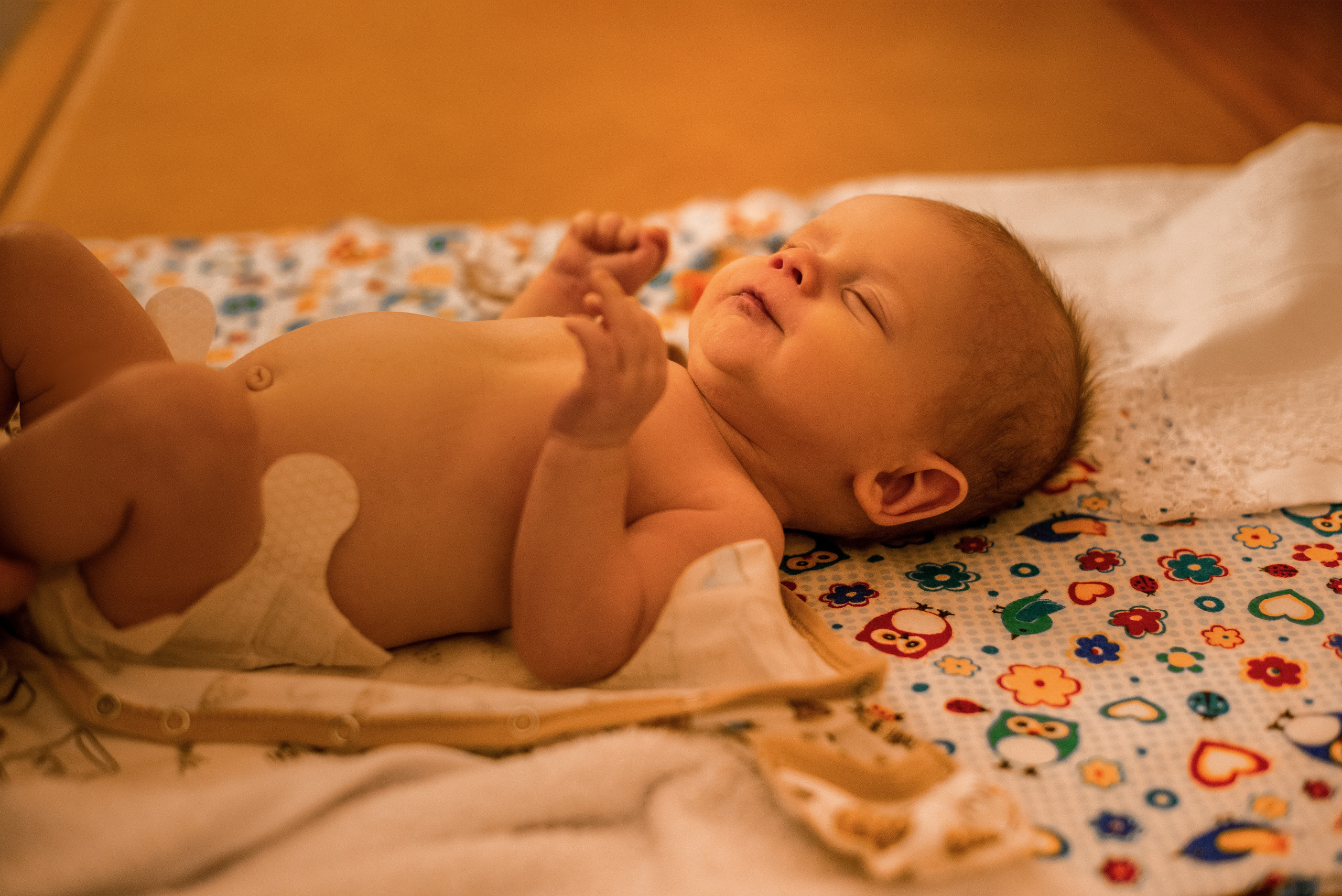 Каспиевы. Свадебный фотограф Белгород