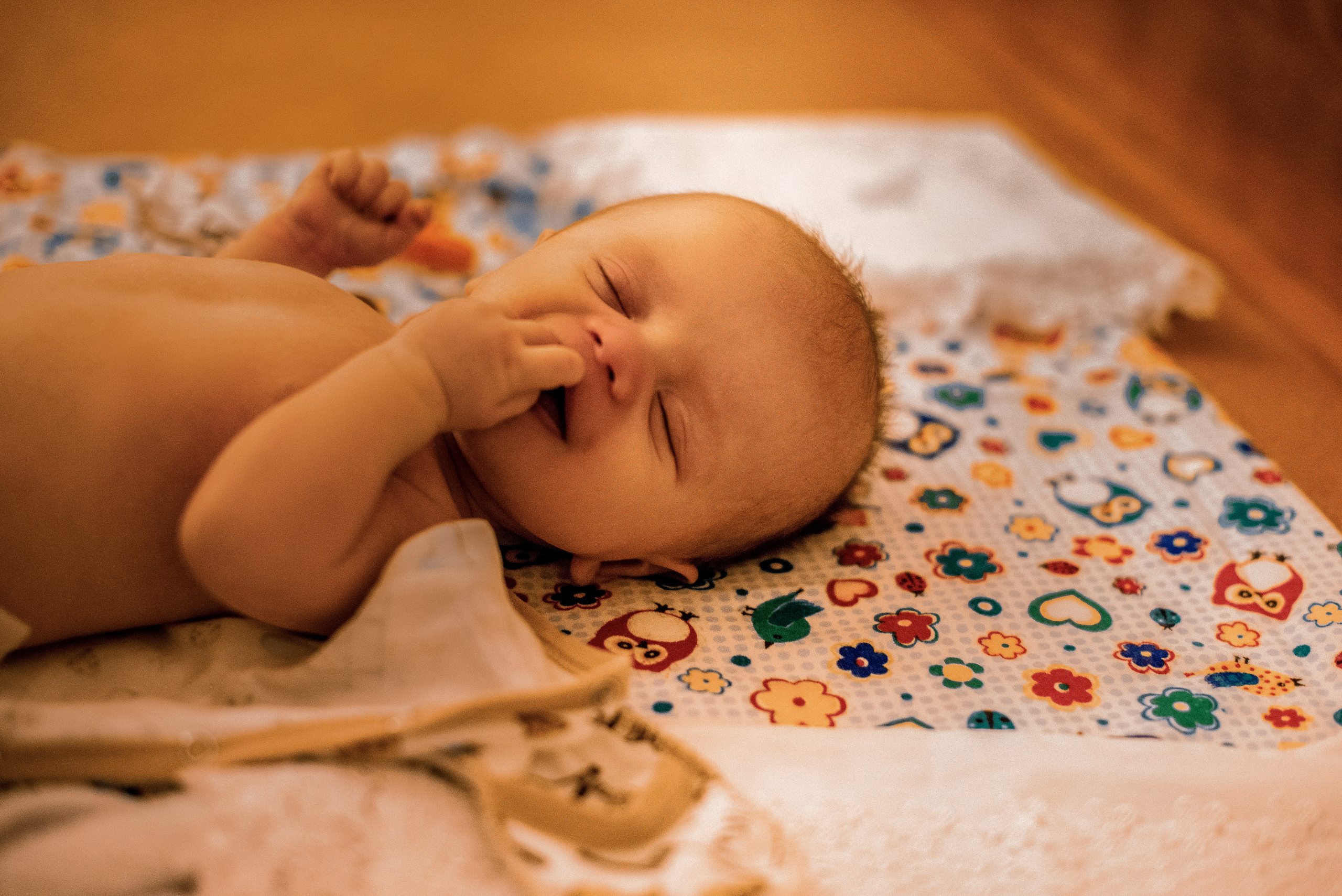 Каспиевы. Свадебный фотограф Белгород