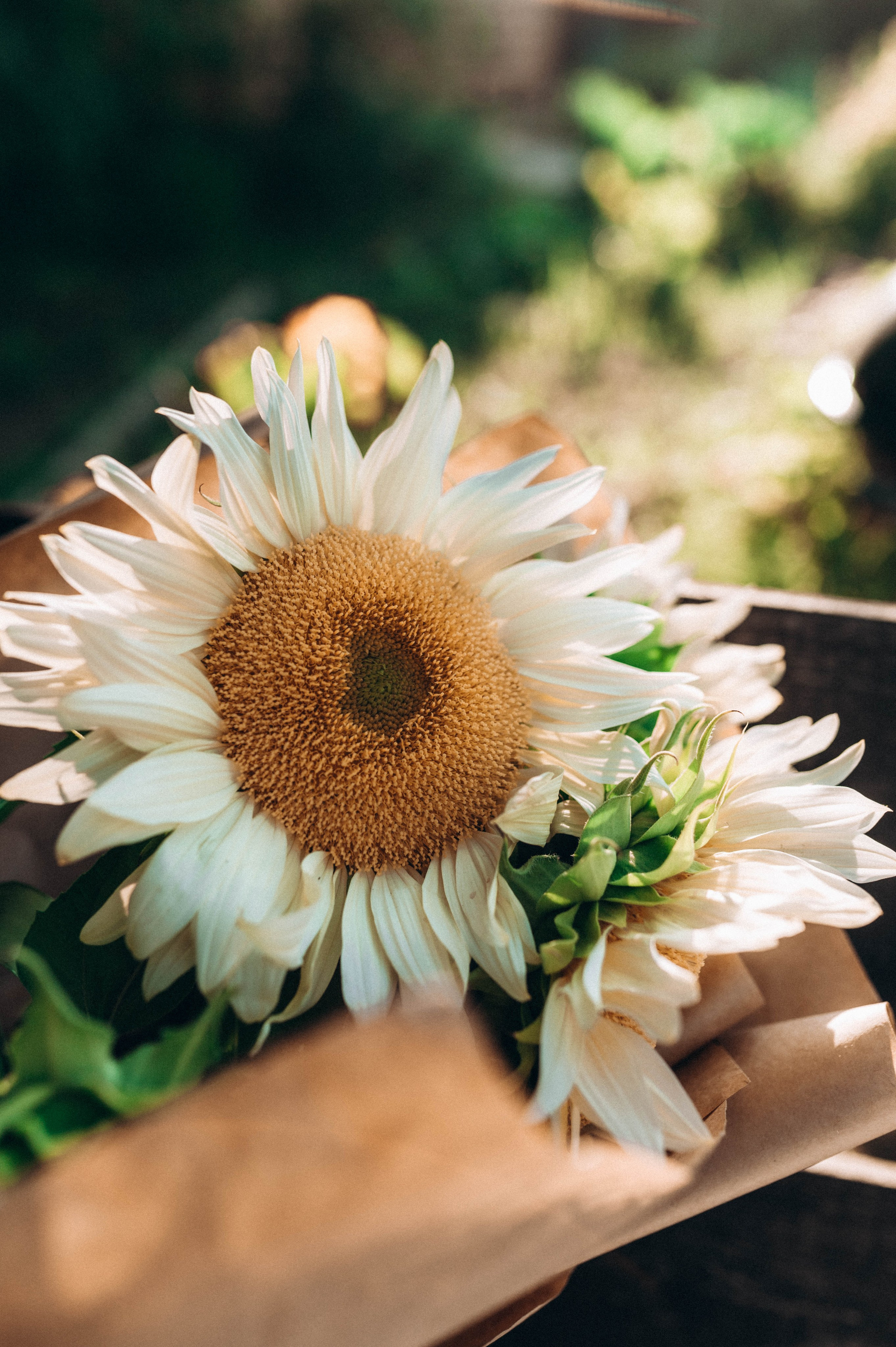 Карим, Надя, Матвей и Мирон. Свадебный и семейный фотограф в Чите Юлия Оранская