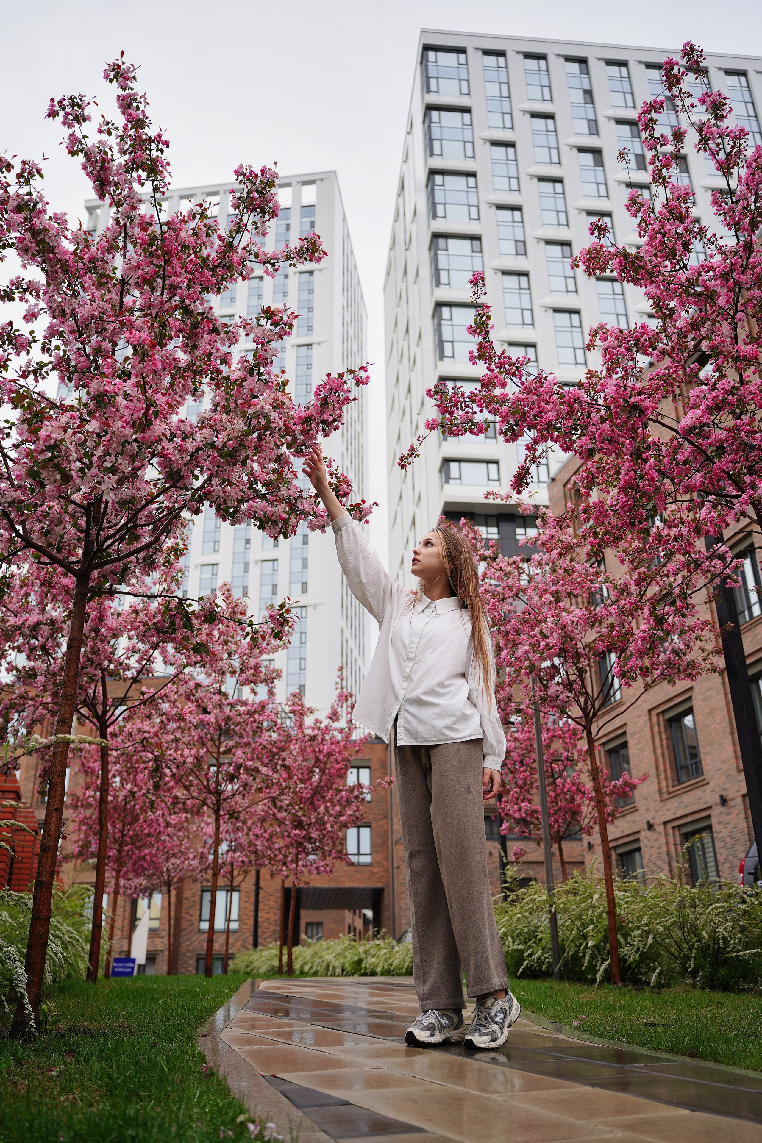 Оля Башкирская Сакура. Pupov.png