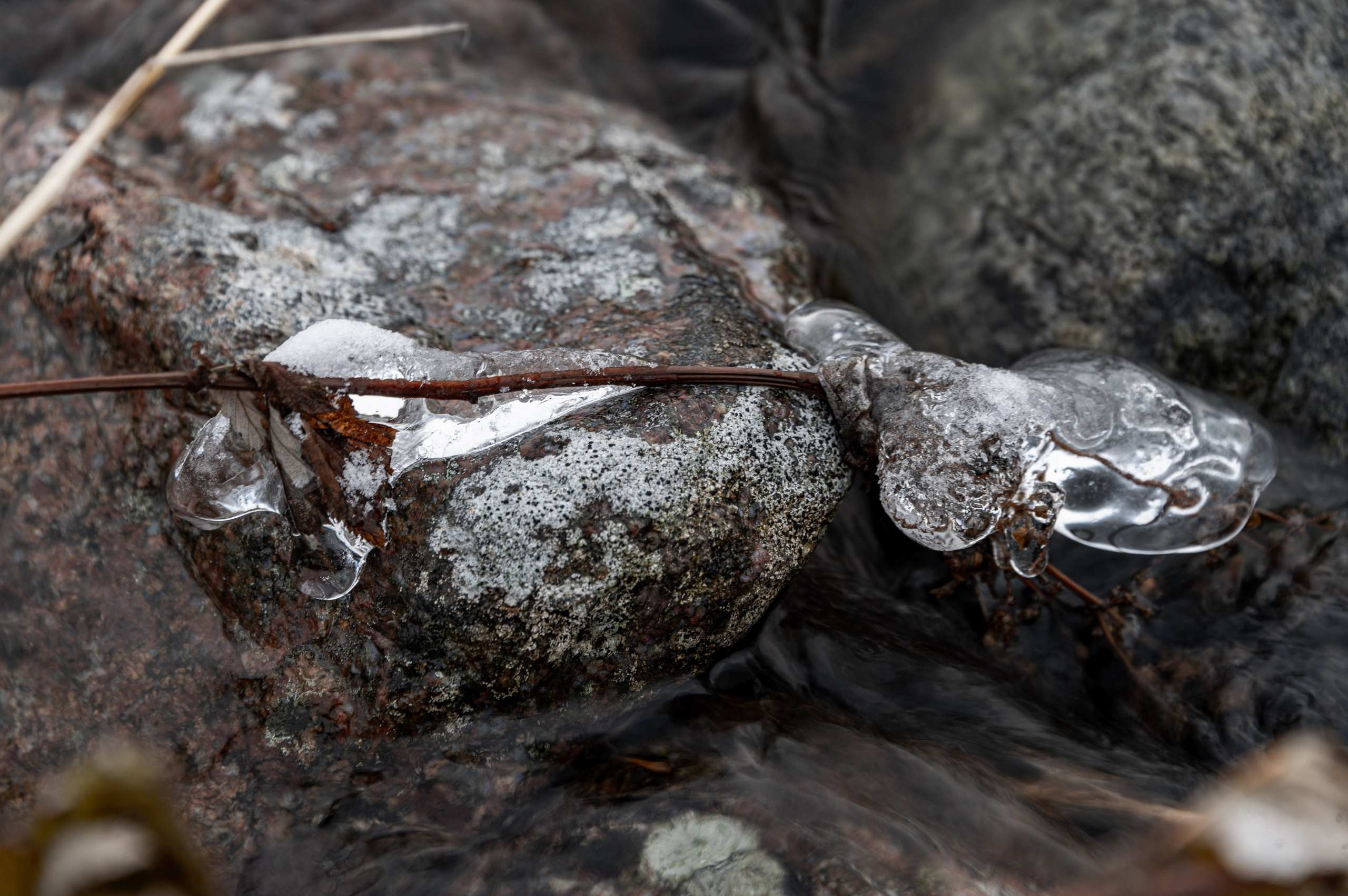 Териберка. Ноябрь 2023. Фотограф Роман Адлер