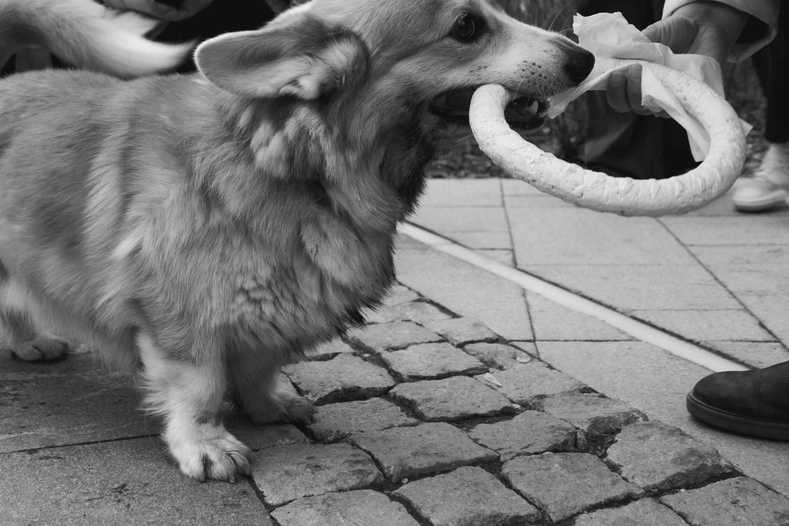 Уличная съемка. Ph | Tyumen