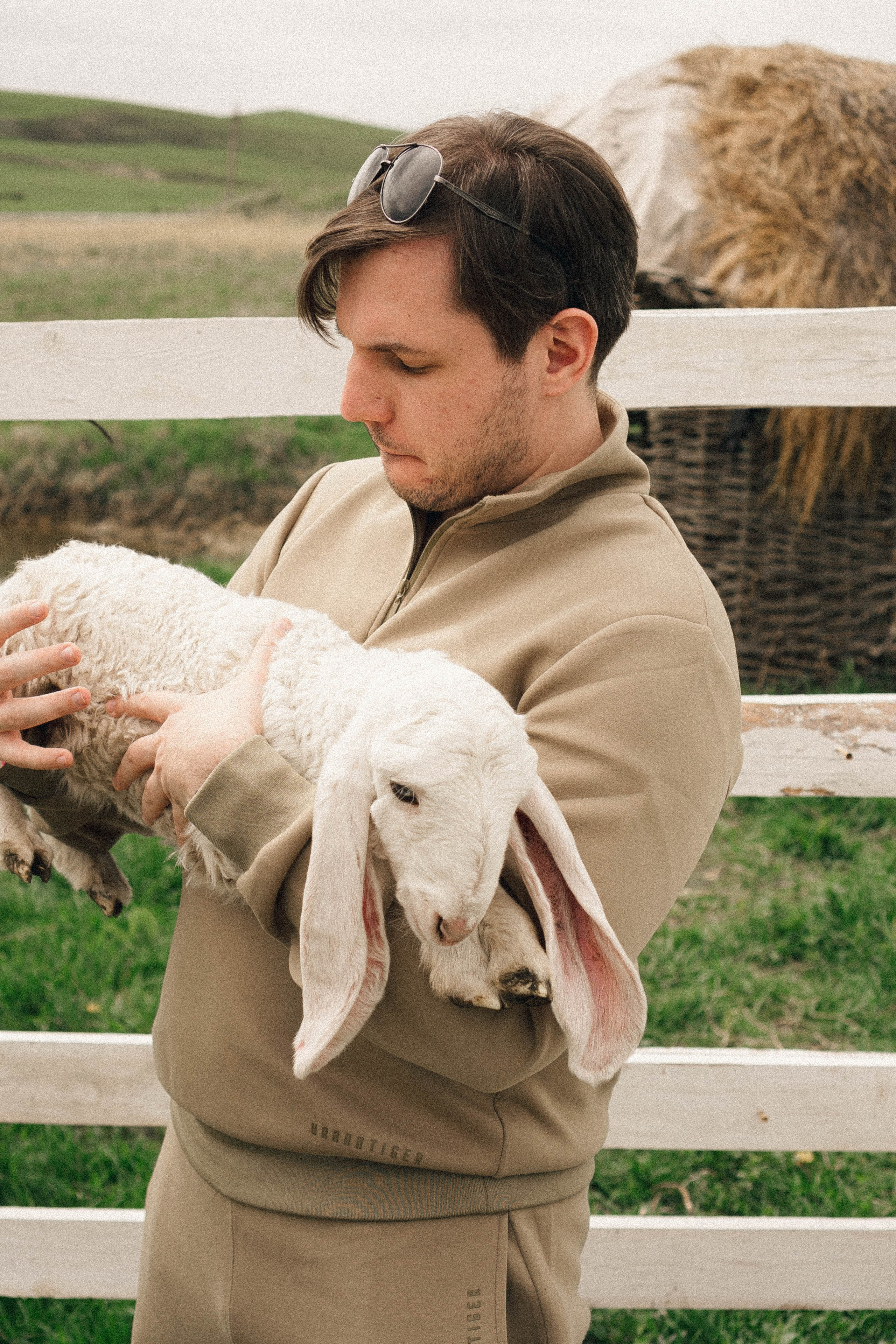 Ферма Альпак. Профессиональный фотограф, Санкт-Петербург — Виктория Богомолова