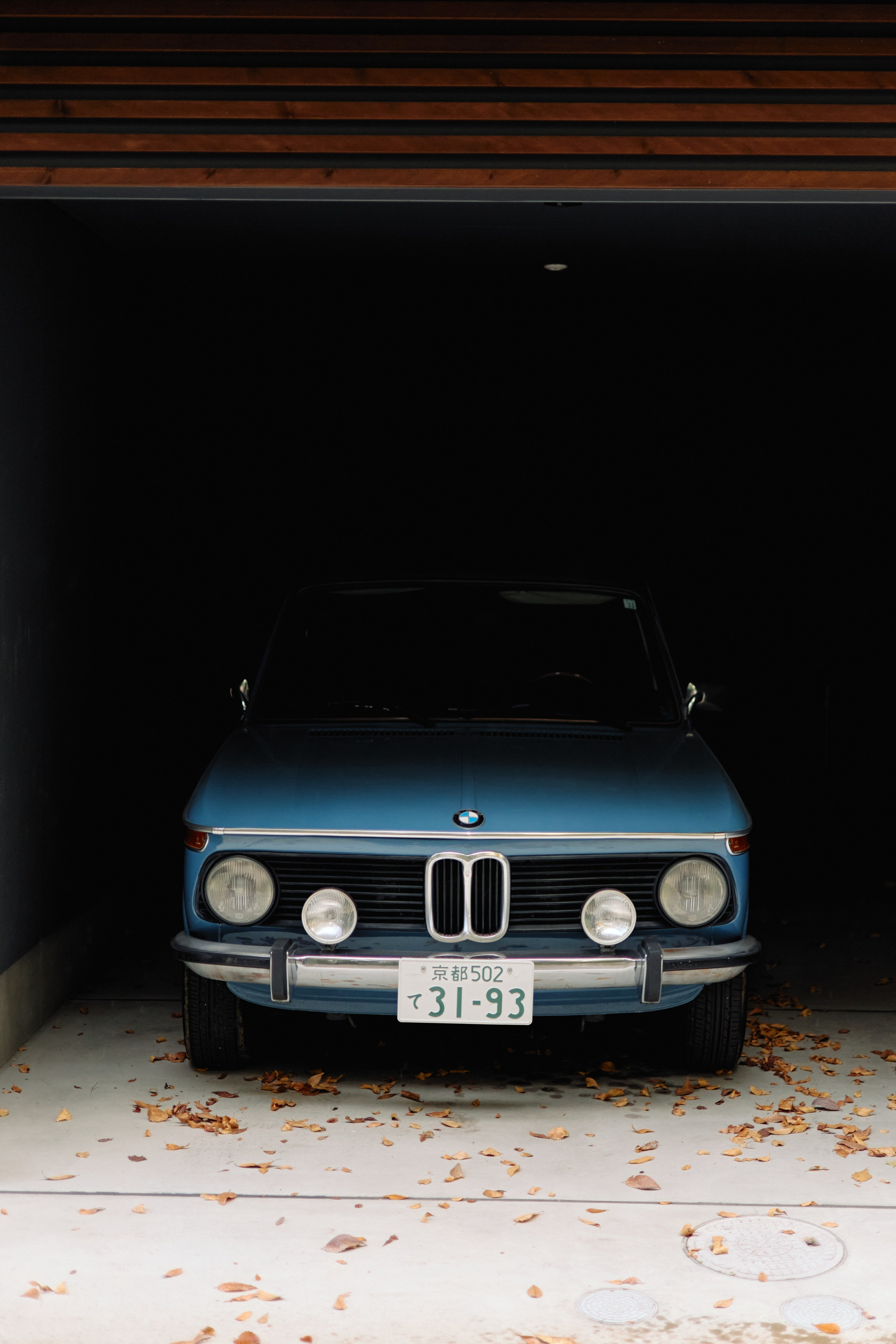 Япония. Профессиональный Фотограф во Владимире, в Москве и в Суздале — Полина Романычева